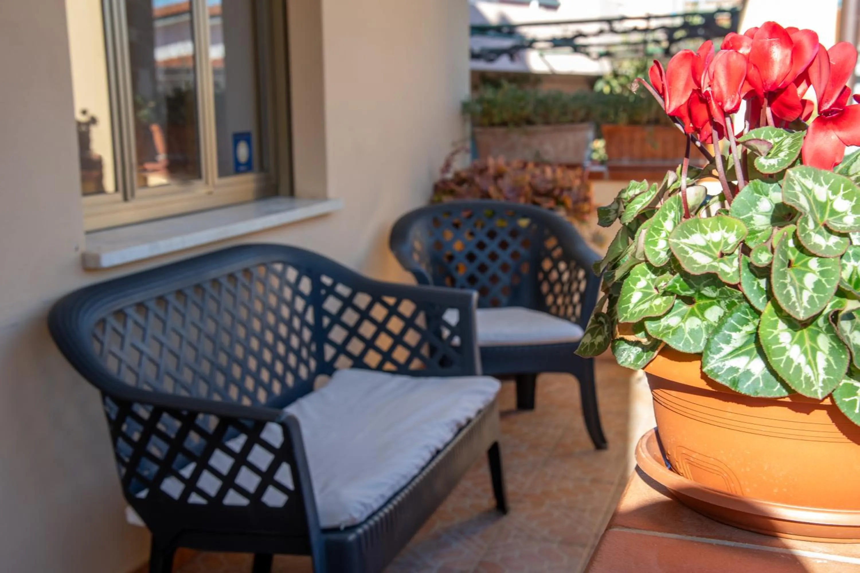 Facade/entrance in affittacamere S'Ortensia