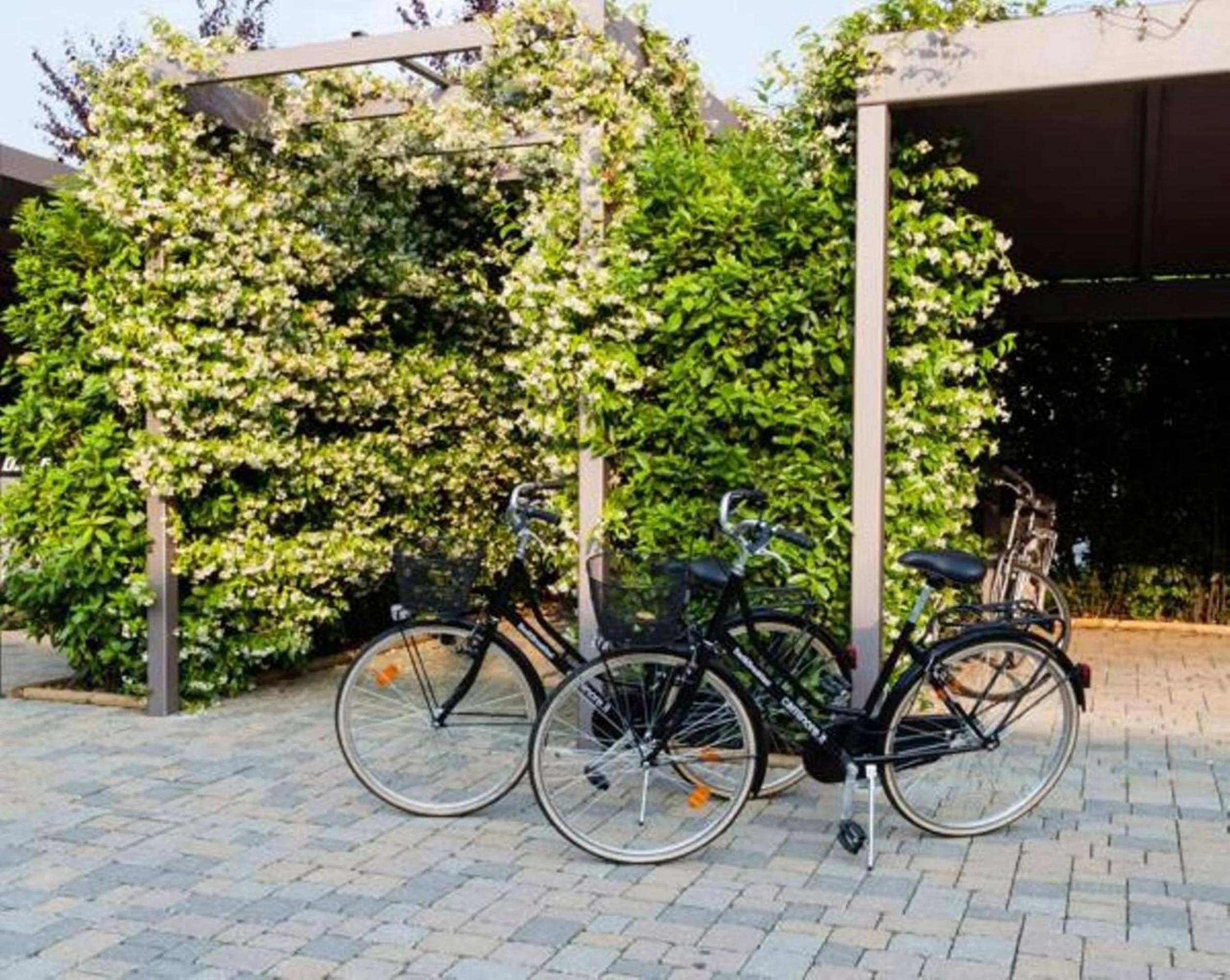 Cycling in B&B a Ca' Minore Franciacorta