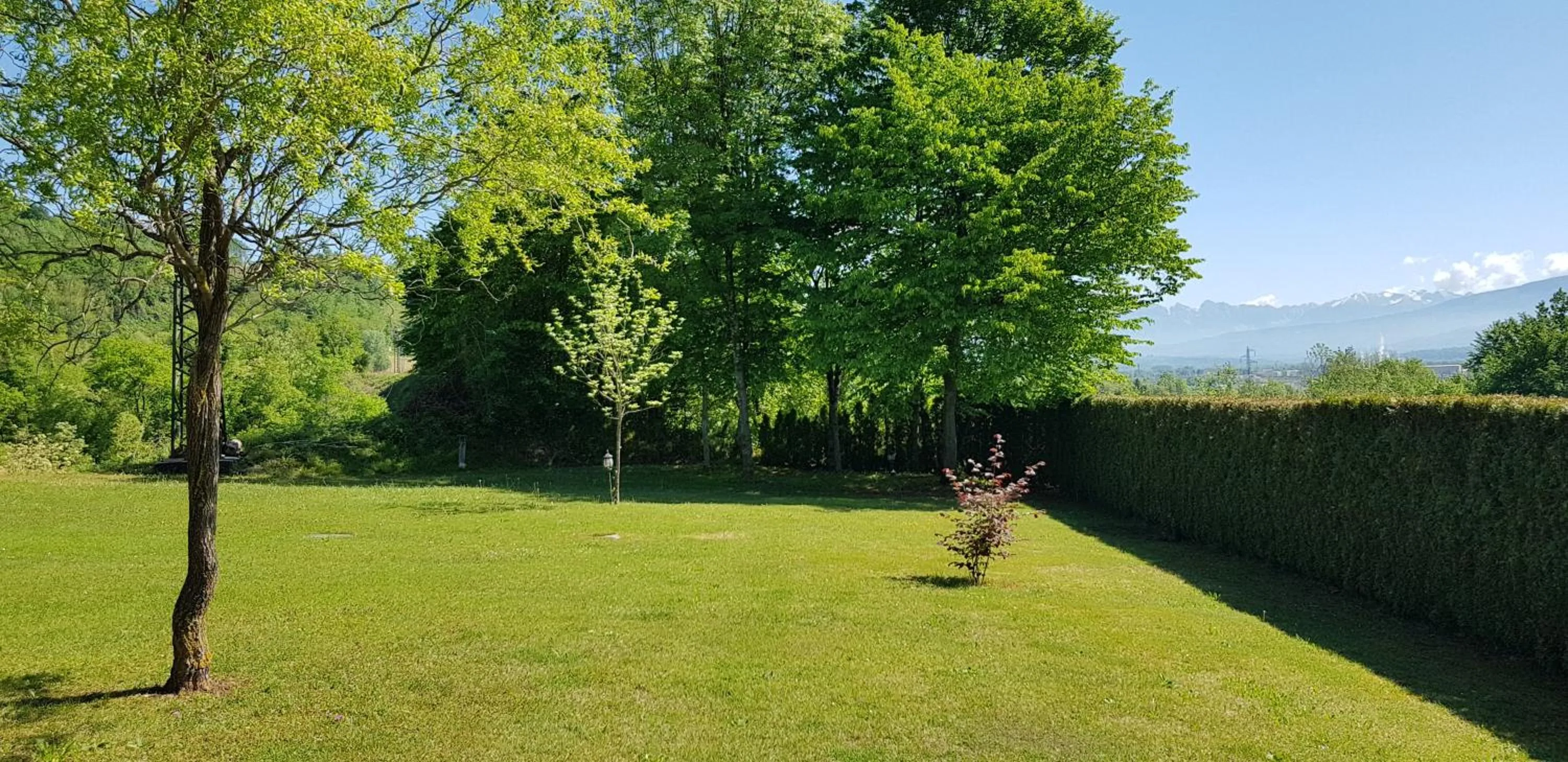 Garden in Bed & Breakfast Paradiso