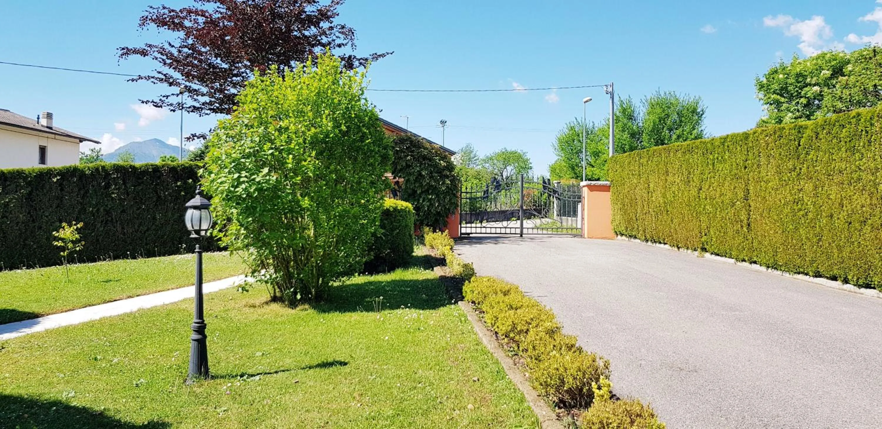 Garden in Bed & Breakfast Paradiso