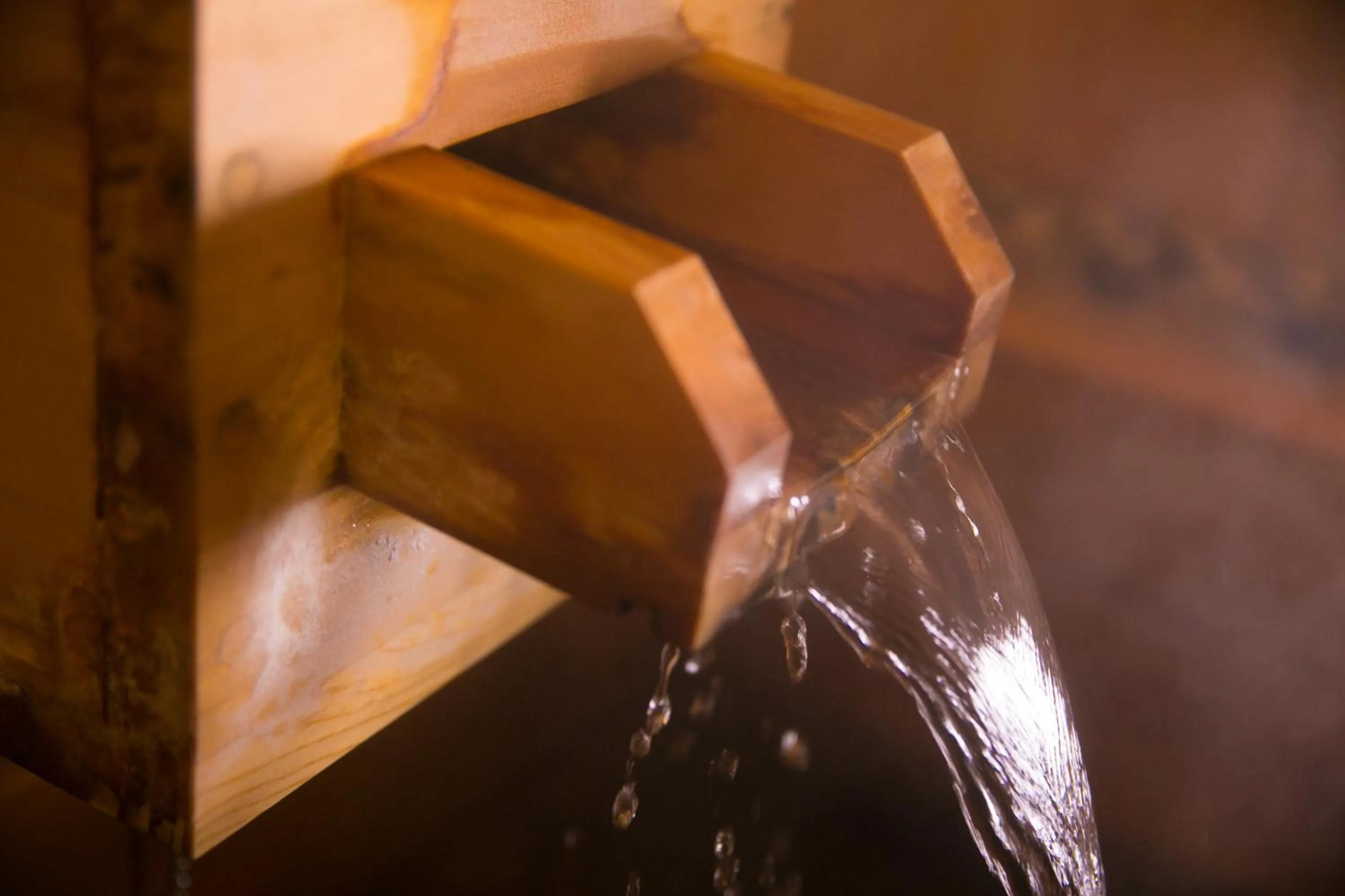 Hot Spring Bath in Yasuraginoyado Yufu