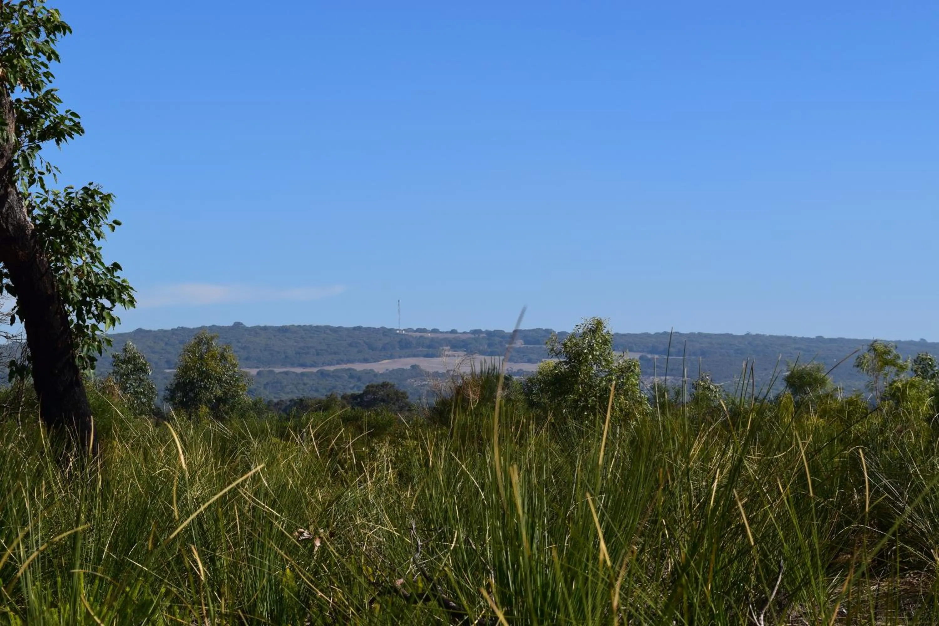 Natural landscape in Eagle Bay House