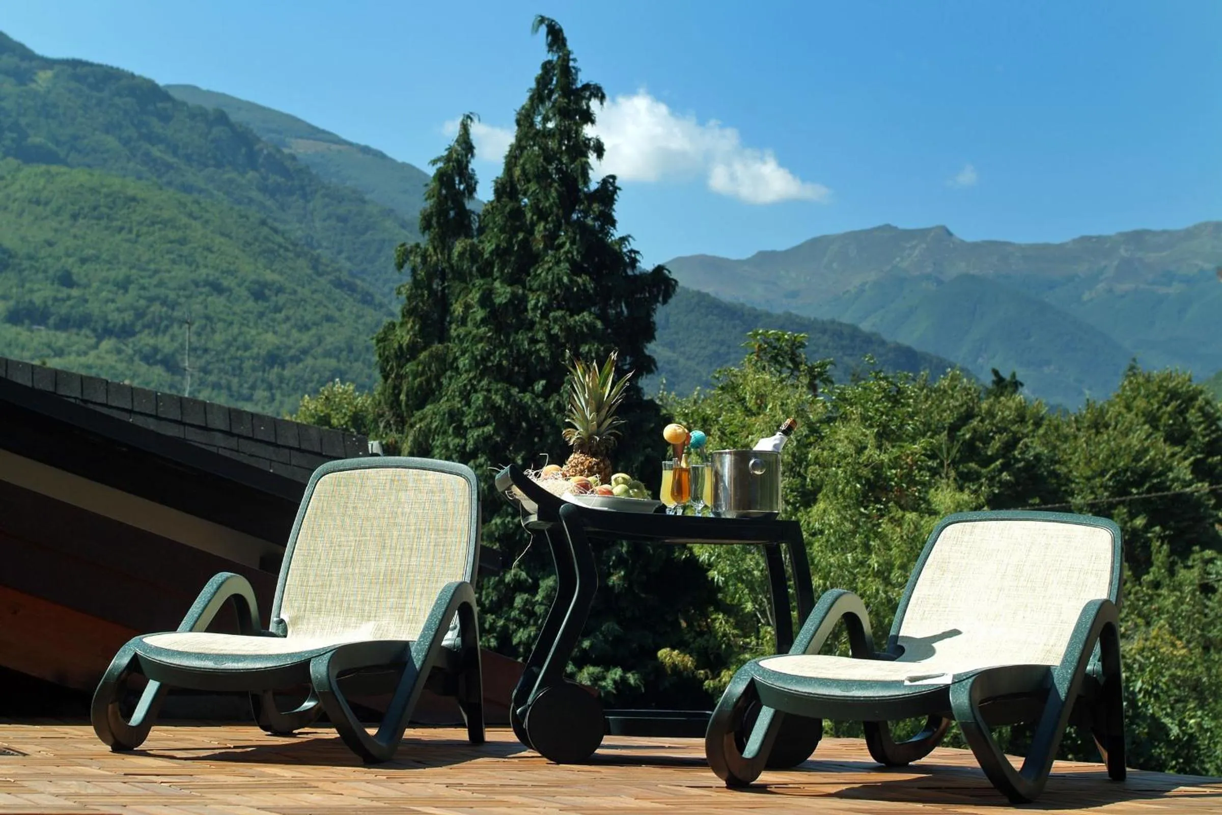 Garden in Hotel Firenze