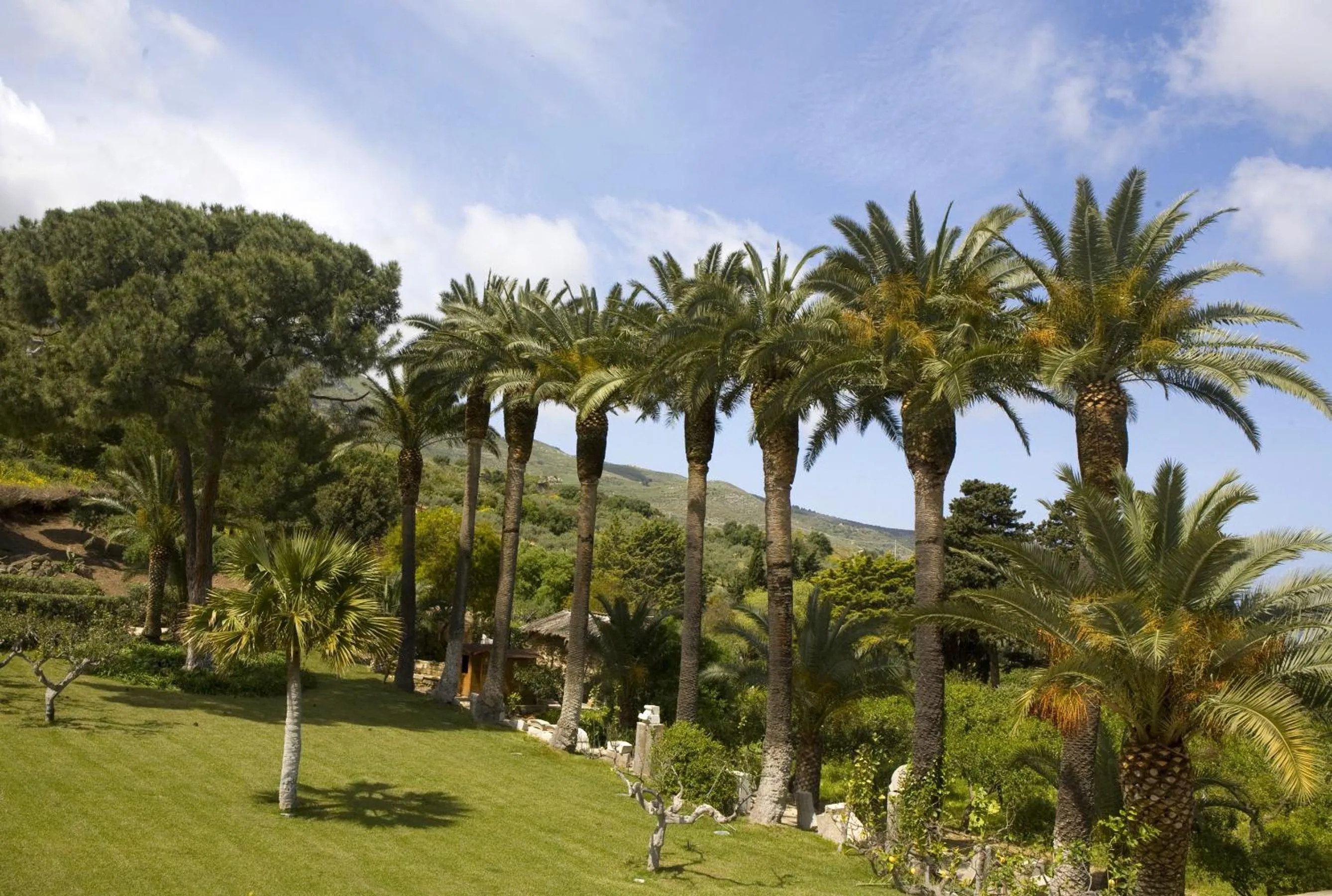 Garden in Bed And Breakfast Villa Pilati