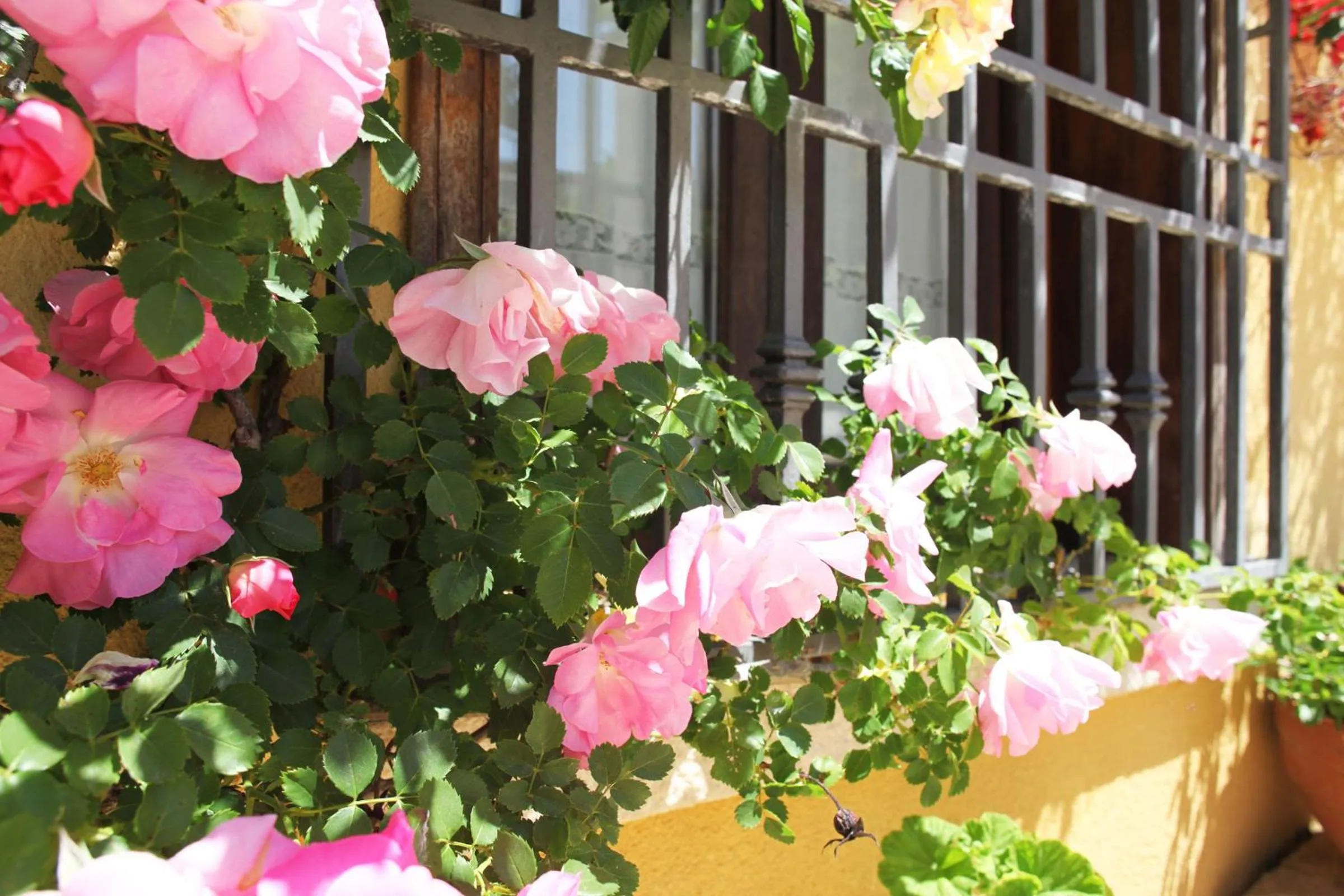 Spring in Bed And Breakfast Villa Pilati