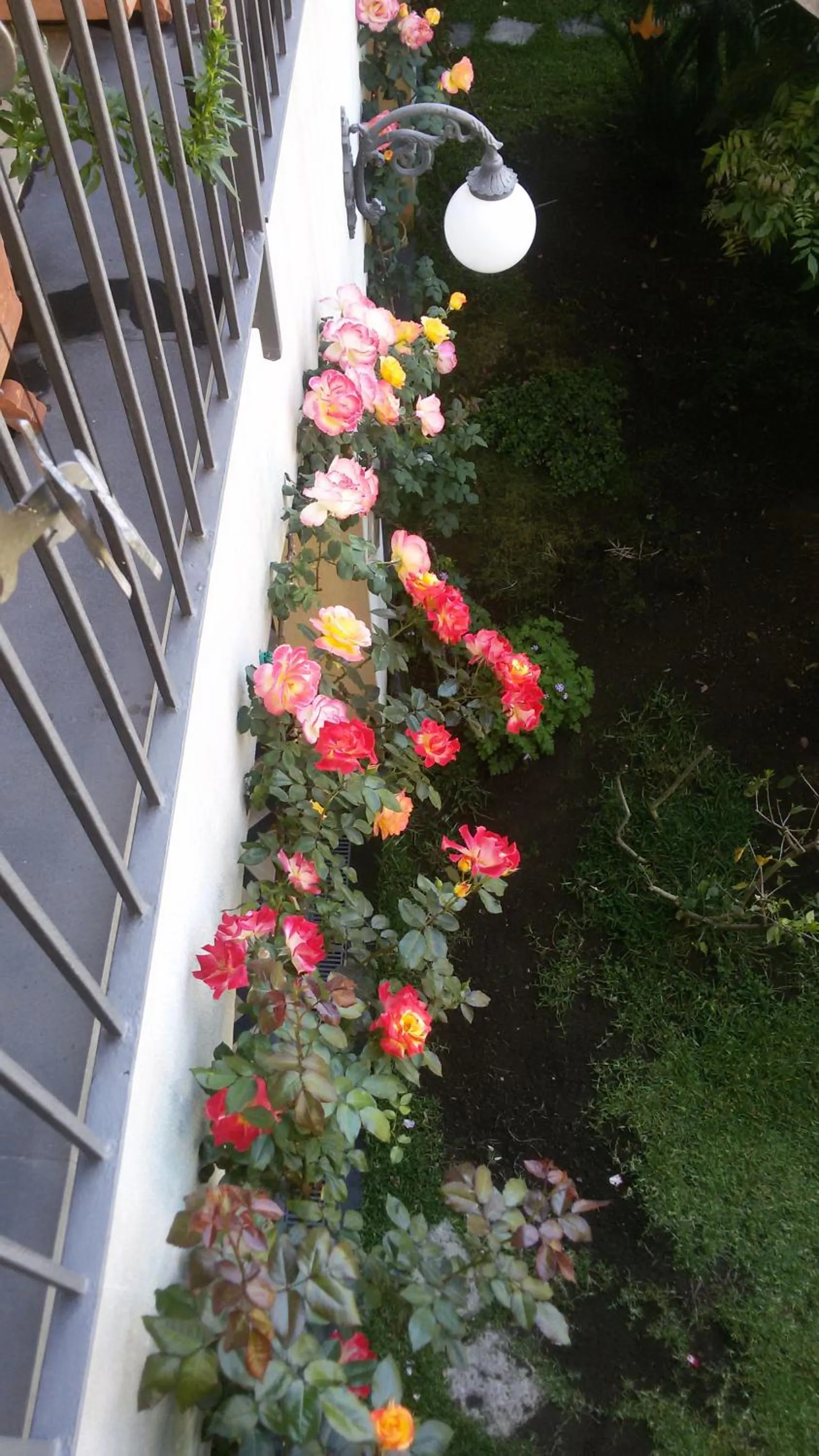 Bird's eye view in La Baronessa B&B