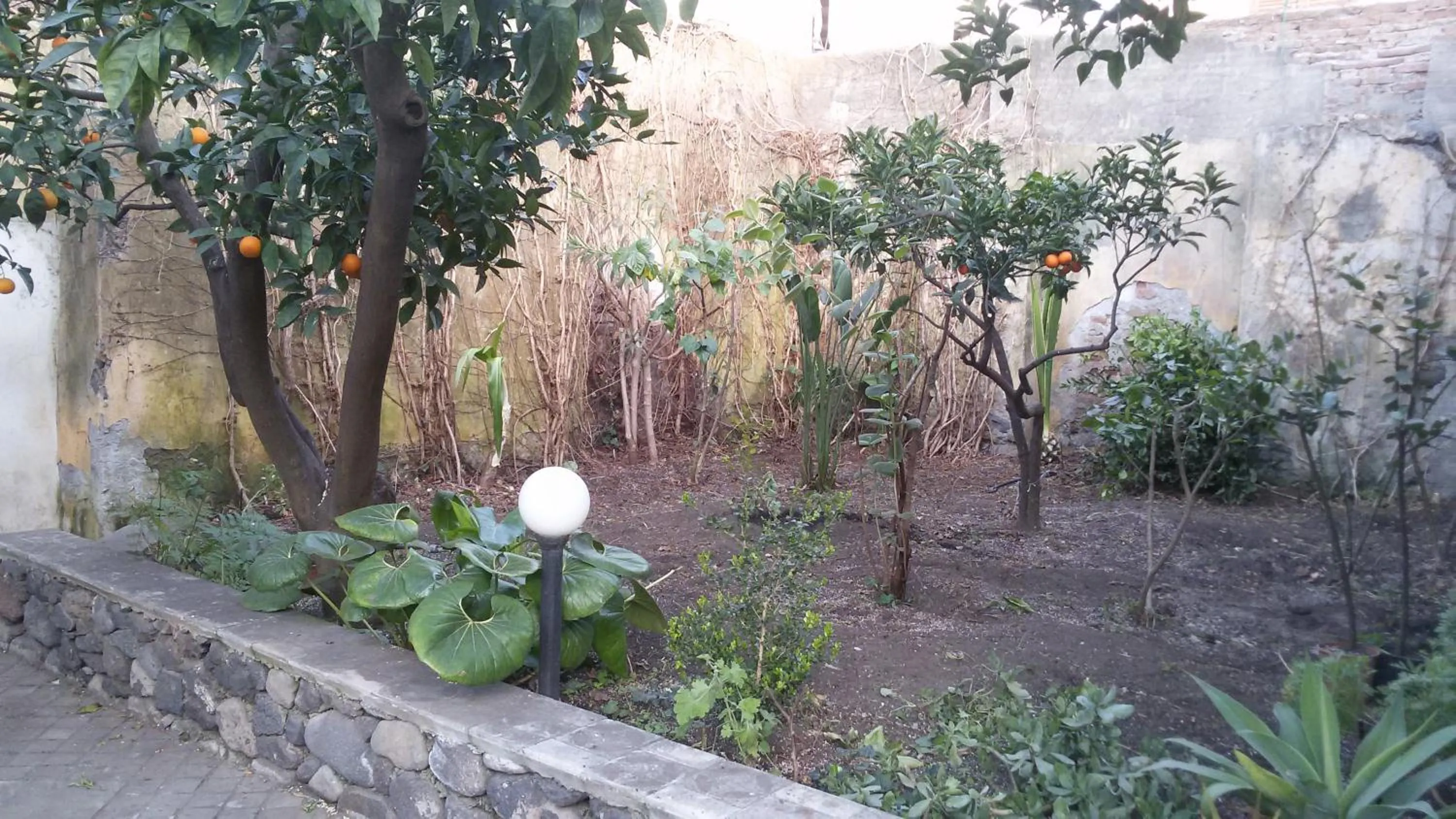 Garden in La Baronessa B&B