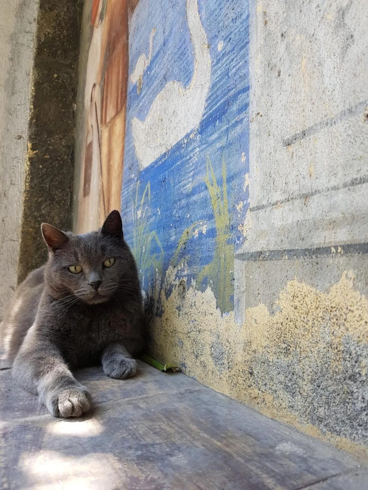 Other in La Baronessa B&B