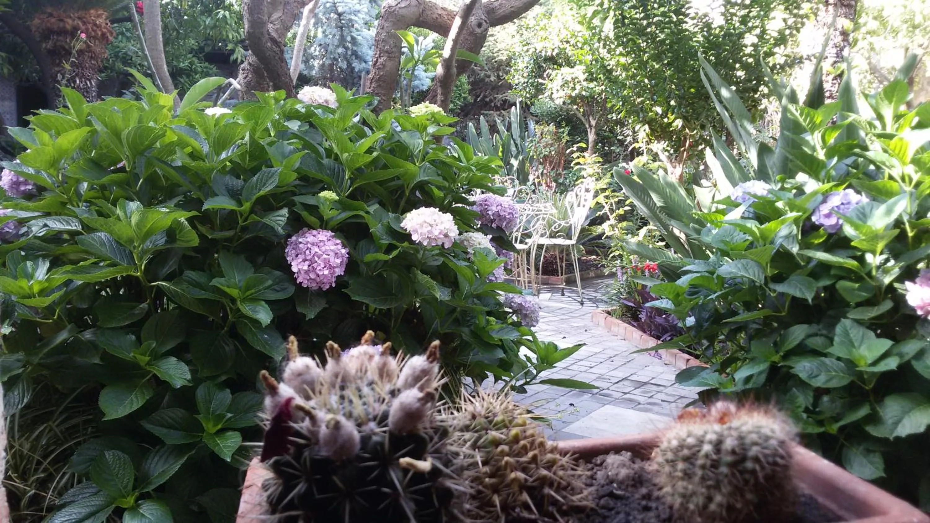 Garden in La Baronessa B&B