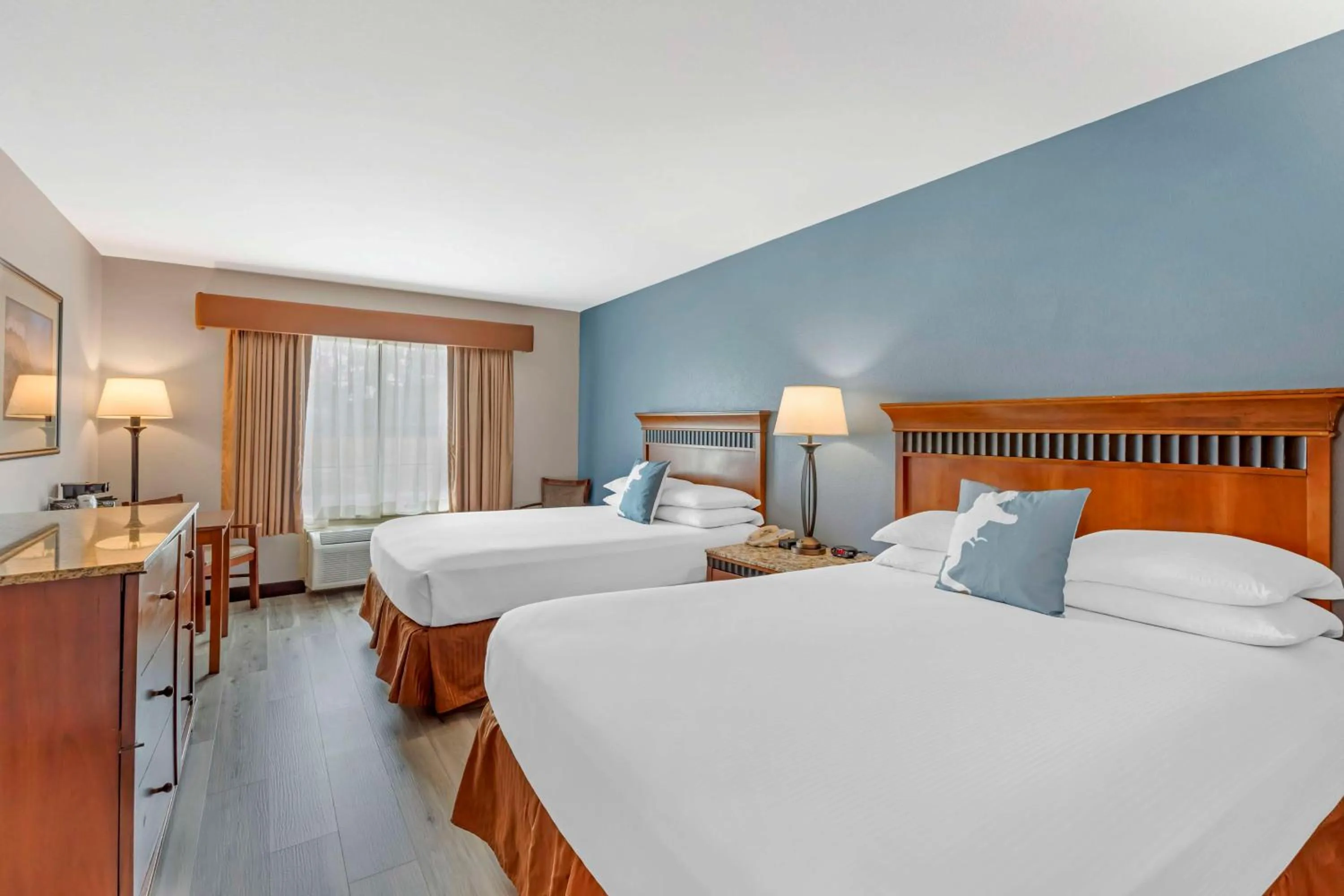 Bedroom, Bed in Best Western Denver Southwest