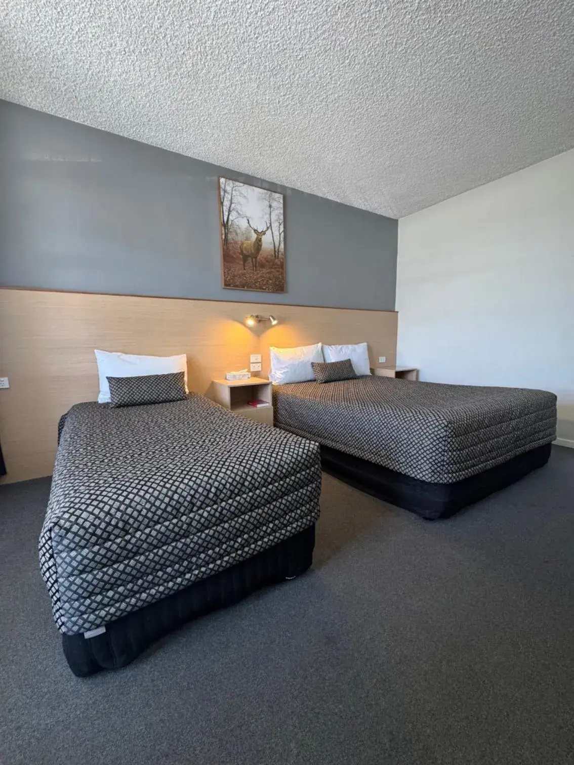 Double or Twin Room in The Sands Motel Adelaide Double or Twin Room in The Sands Motel Adelaide