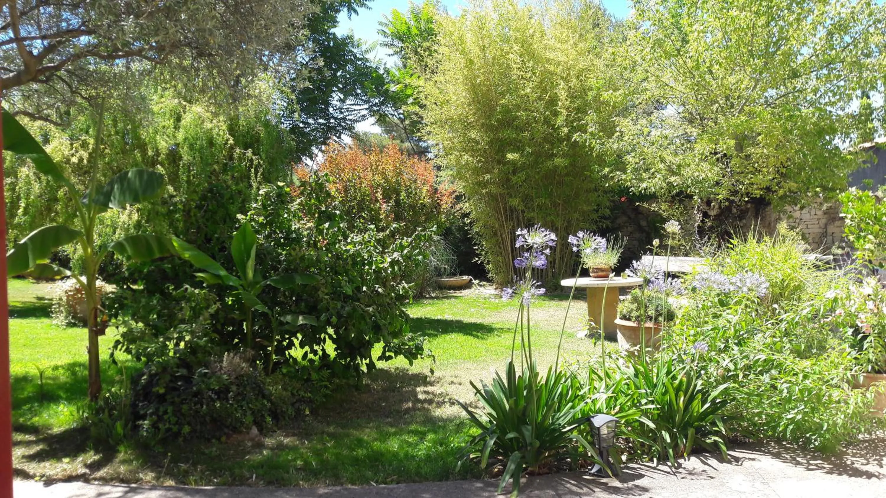 Garden view in Bastide Sainte Agnès