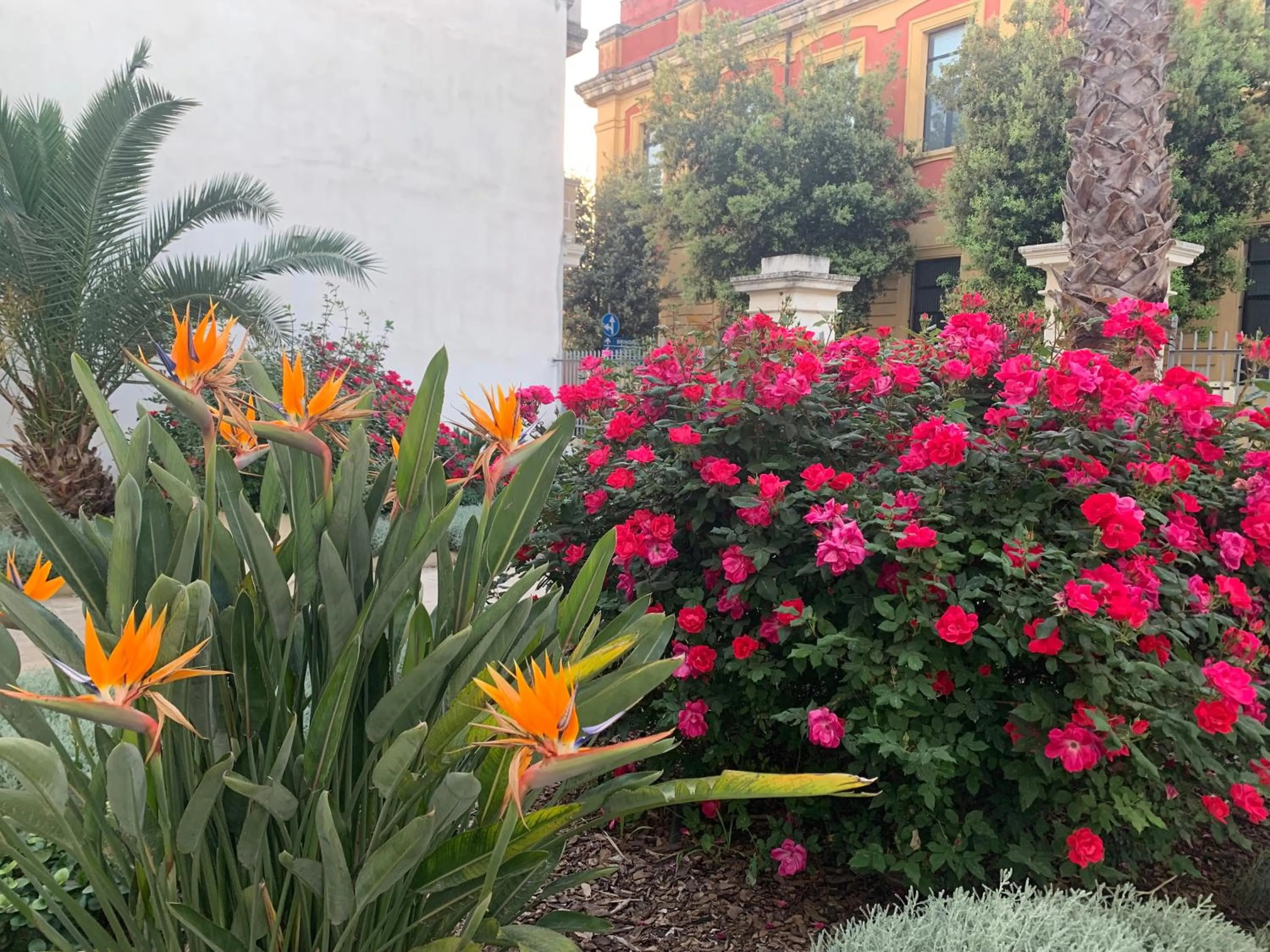 Property building in B&B Don Alessandro