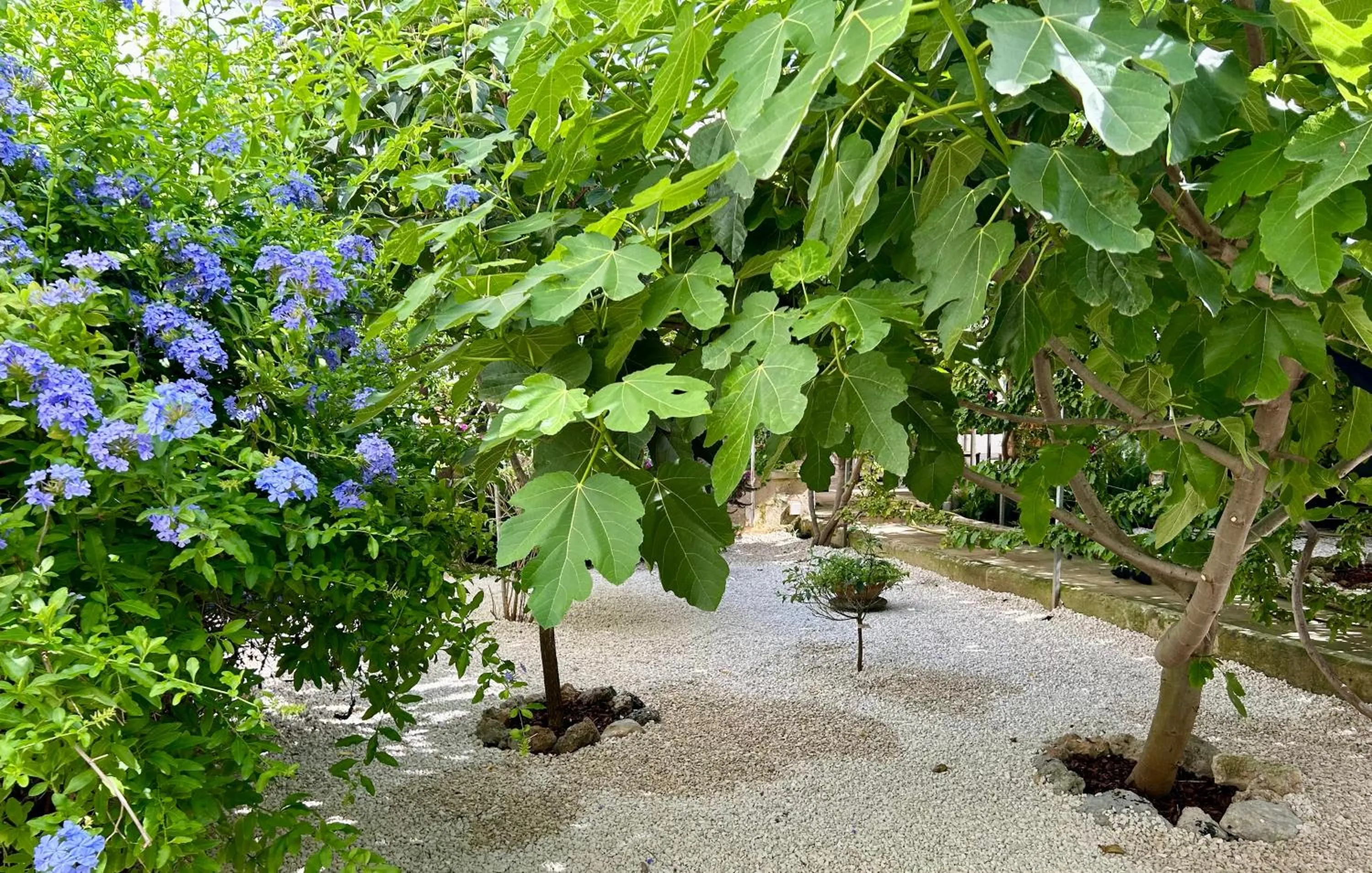 Spring in B&B Don Alessandro