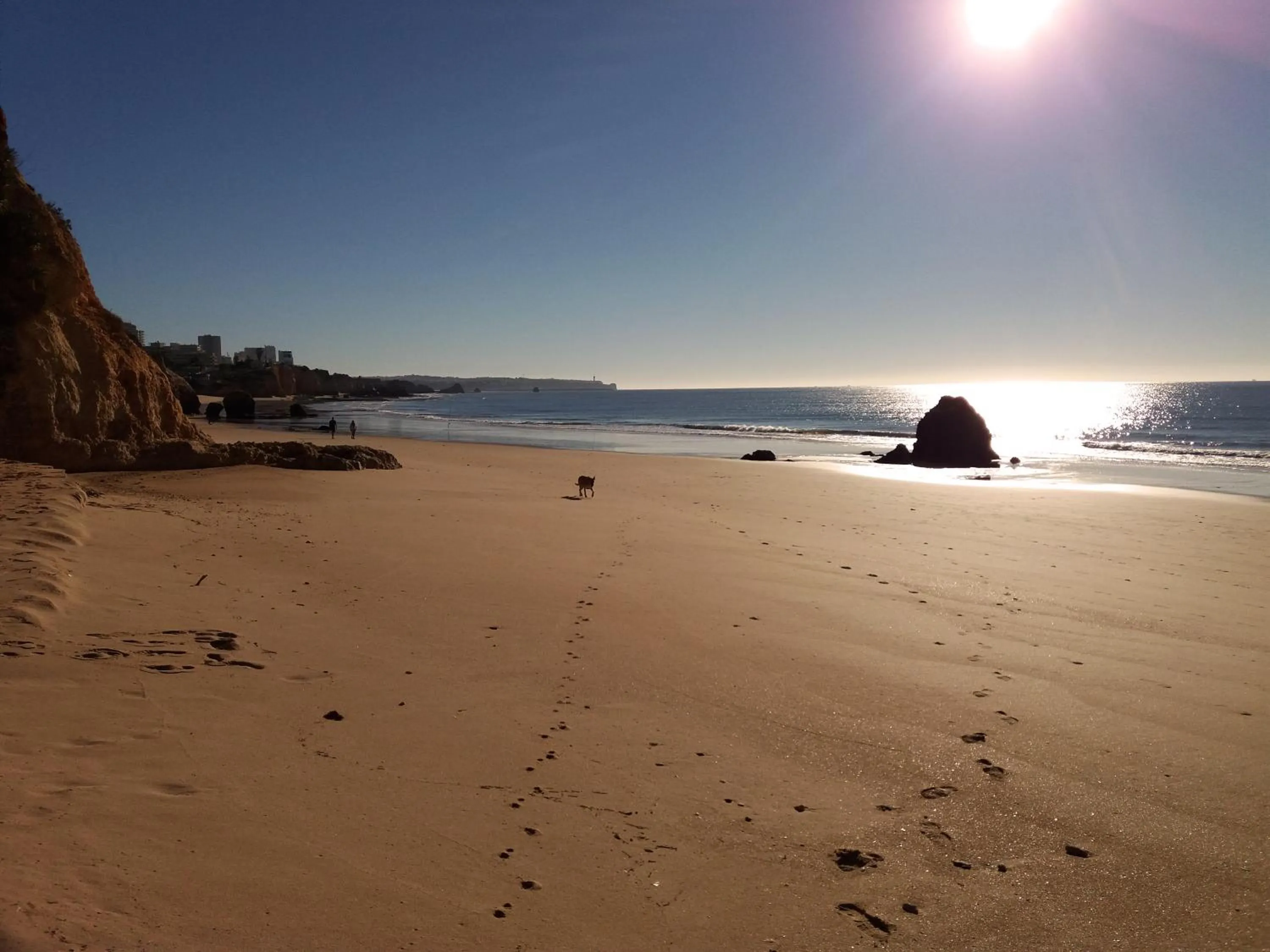 Natural landscape in Villa Alcaide