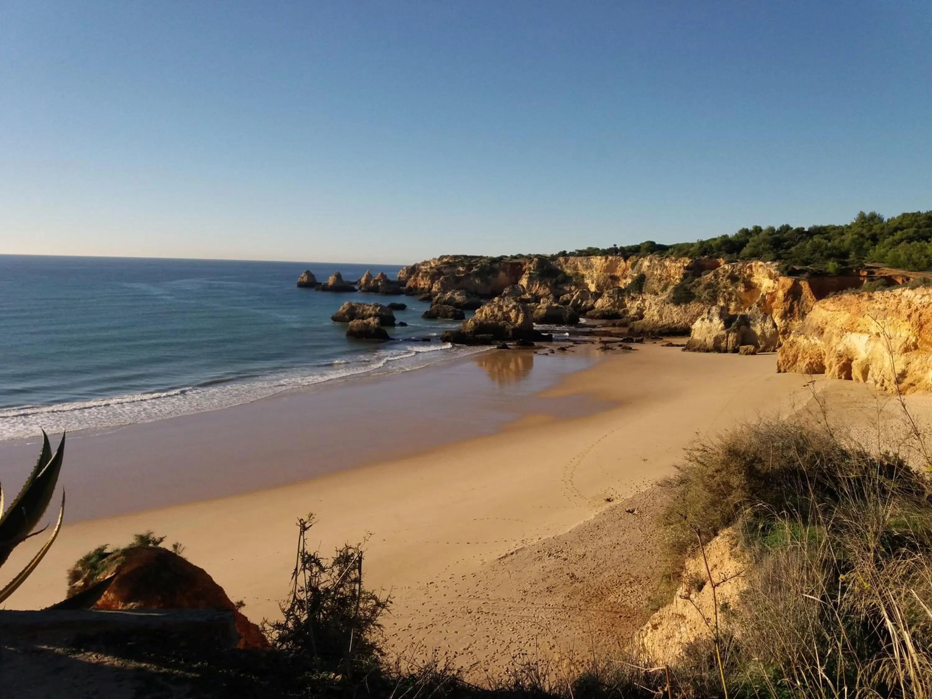 Natural landscape in Villa Alcaide