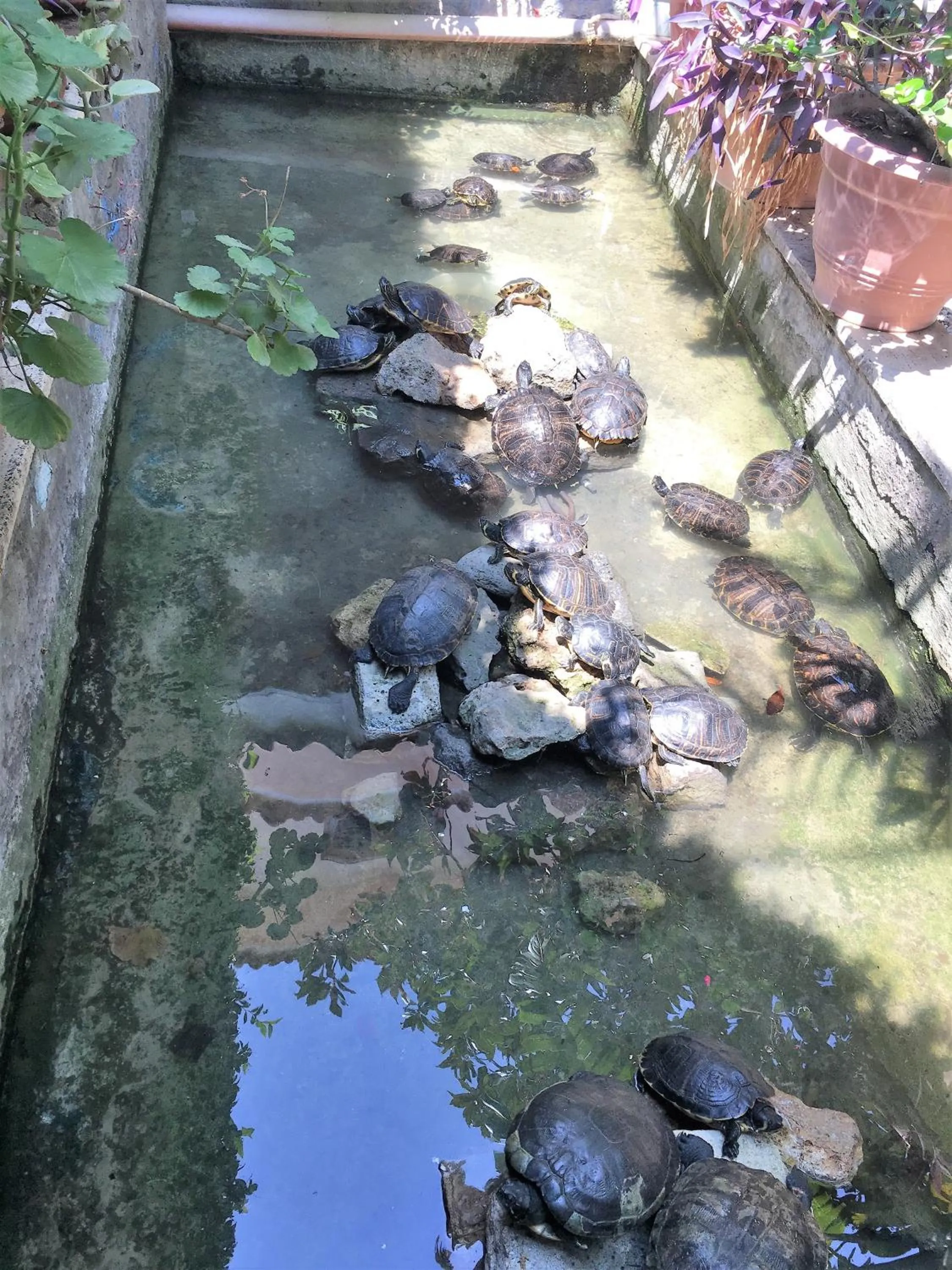 Animals in Oasi Del Gabbiano