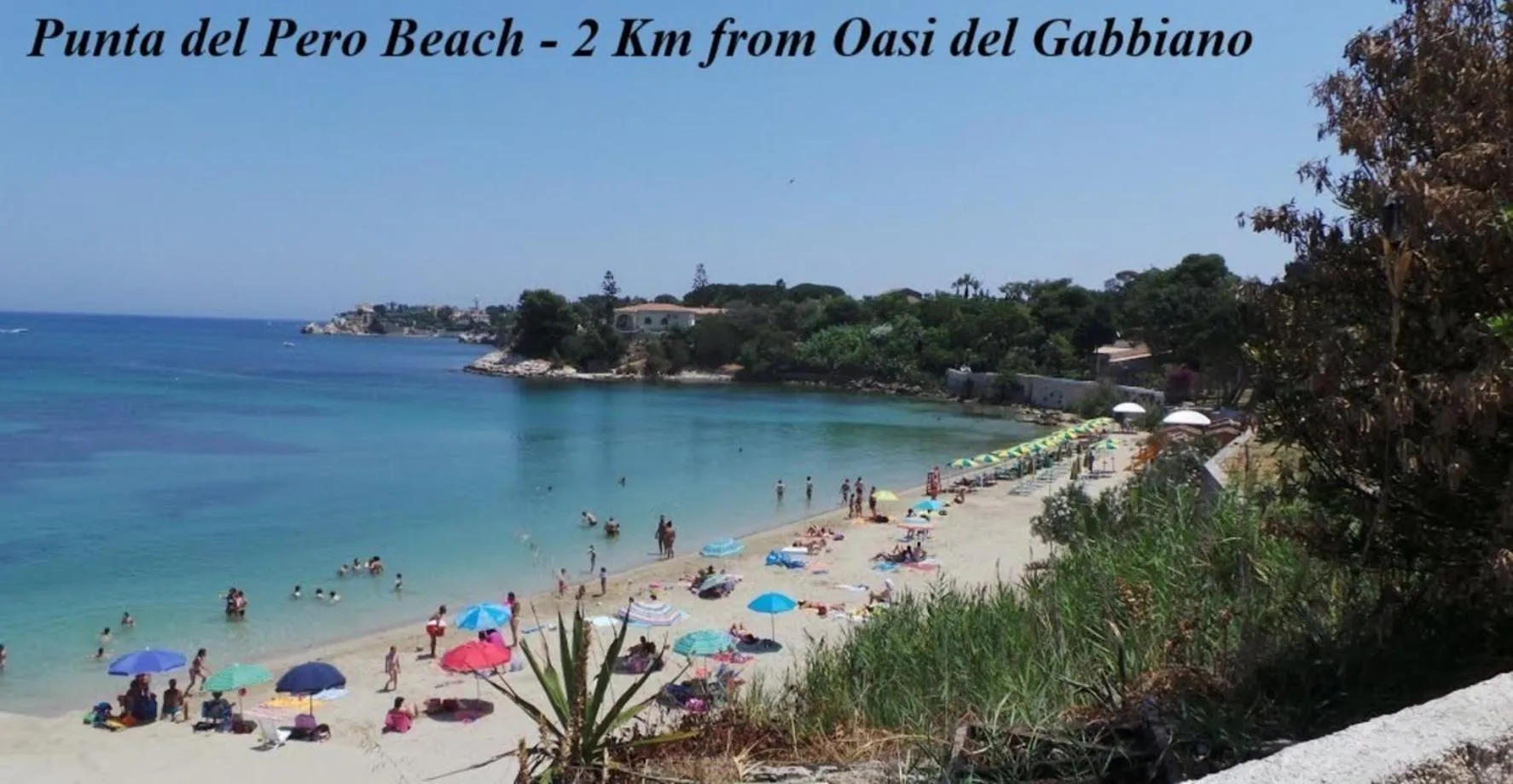 Beach in Oasi Del Gabbiano