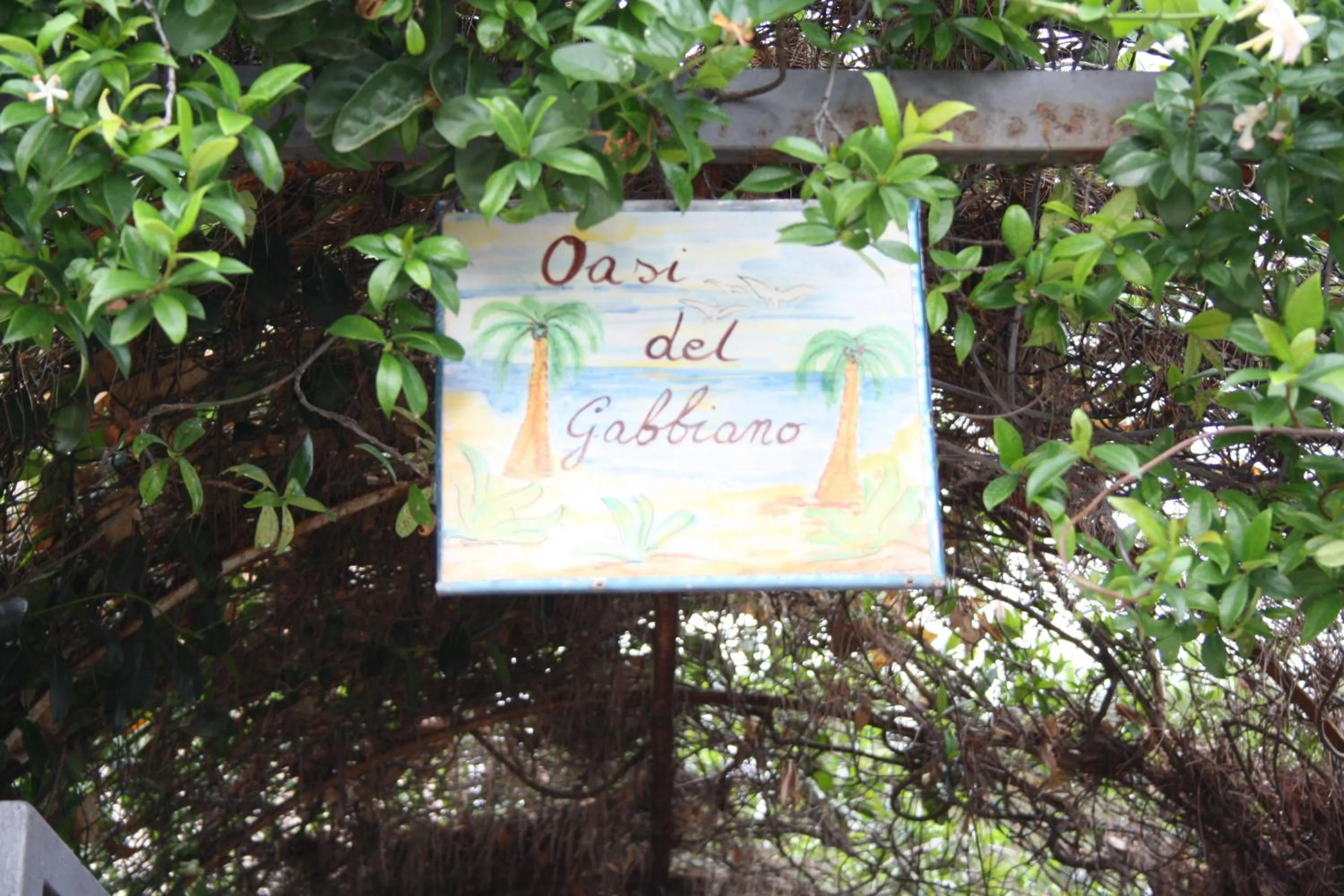 Logo/Certificate/Sign in Oasi Del Gabbiano