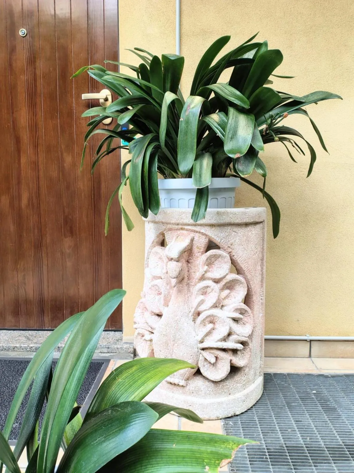 Garden in B&B La Delice