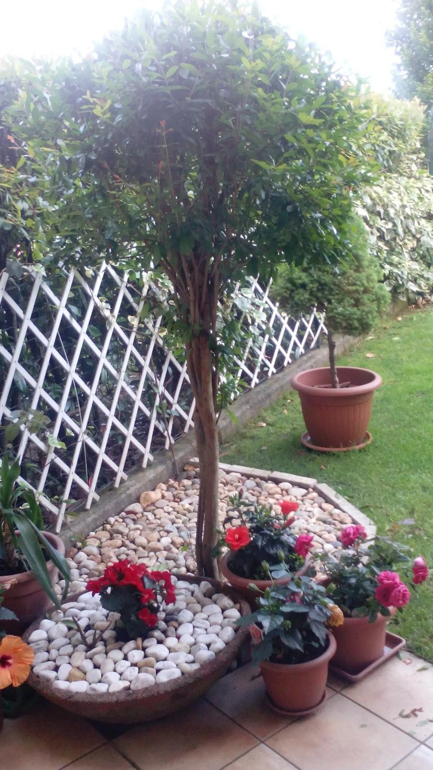 Property building in B&B La Delice