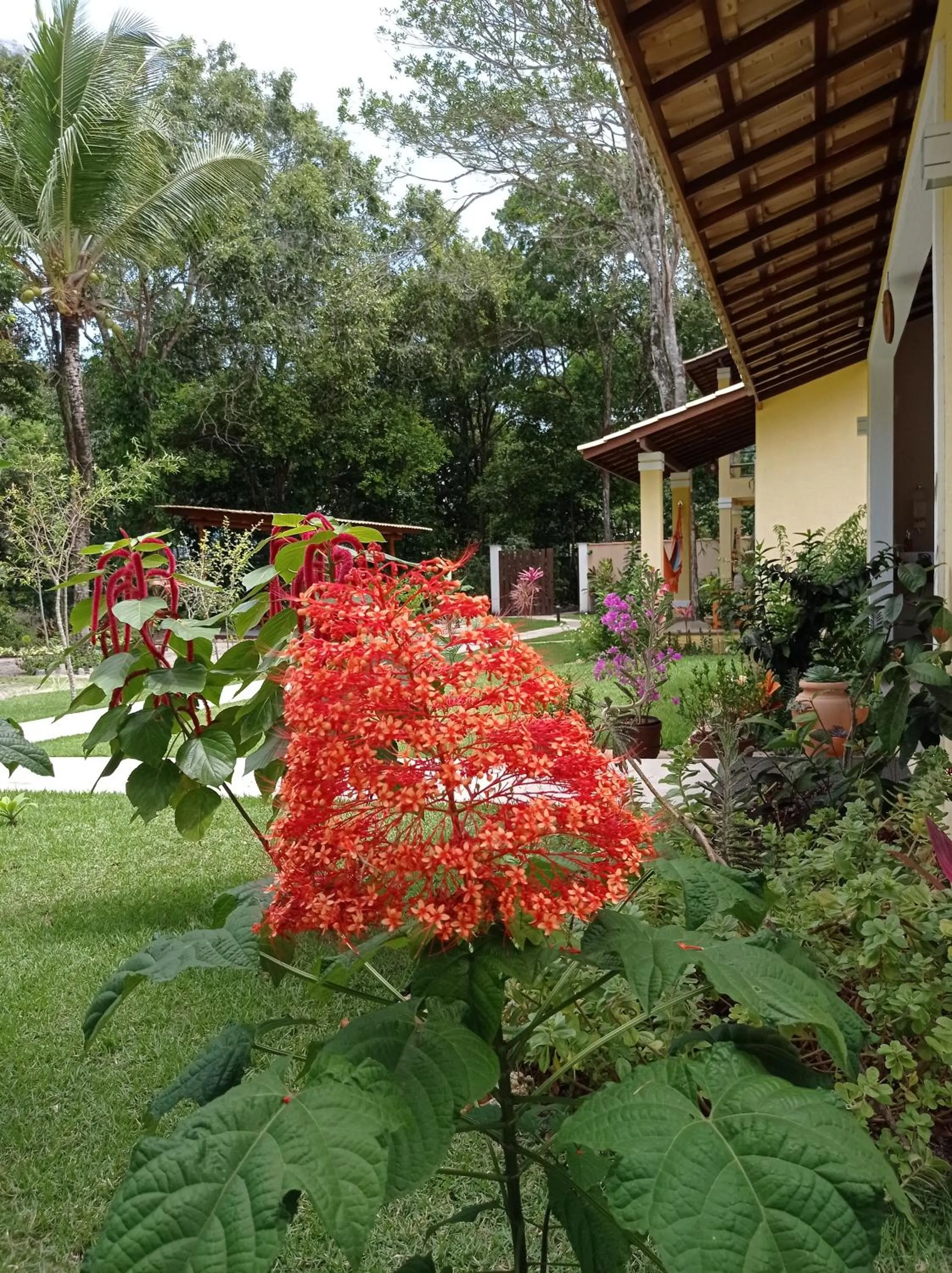 Garden in Quintas do Arraial Guest House
