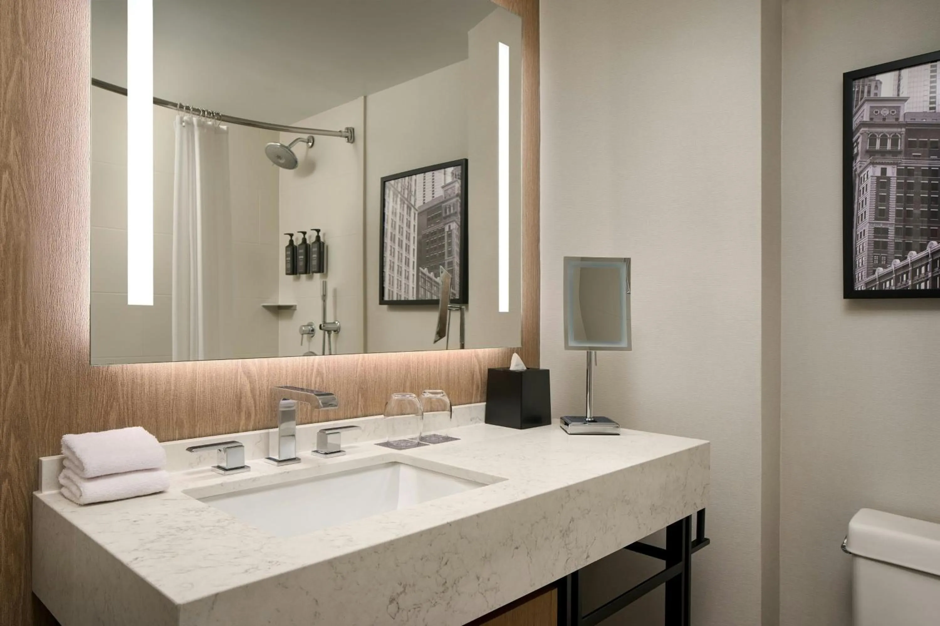 Bathroom in Sheraton Suites Chicago O'Hare