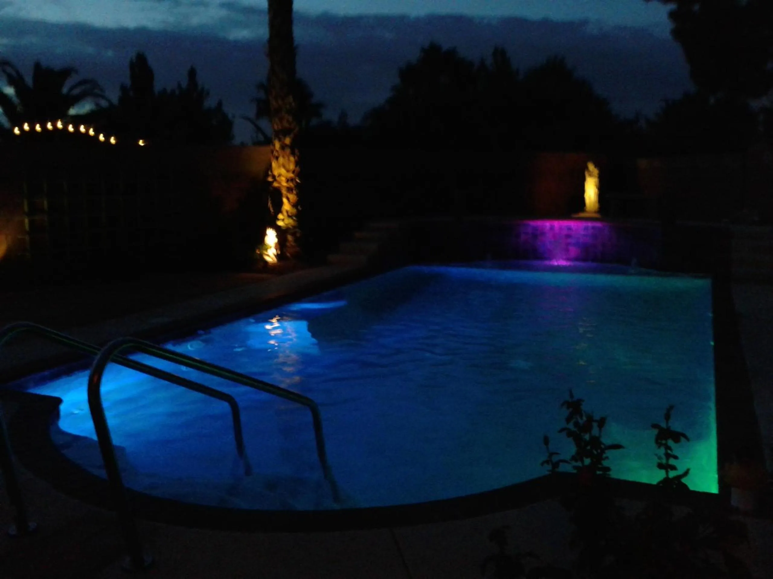 Swimming pool in CATmosphere