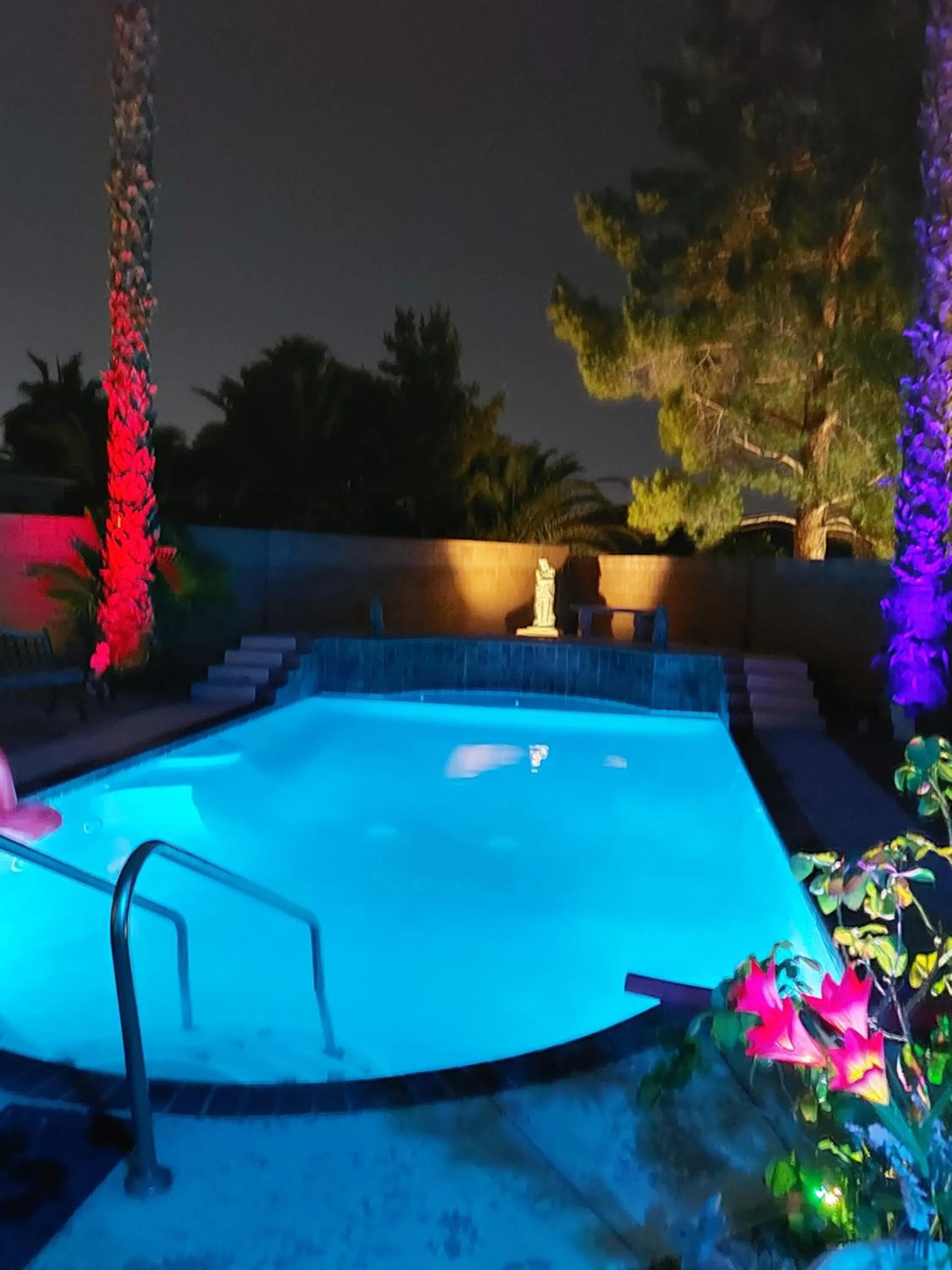 Swimming pool in CATmosphere