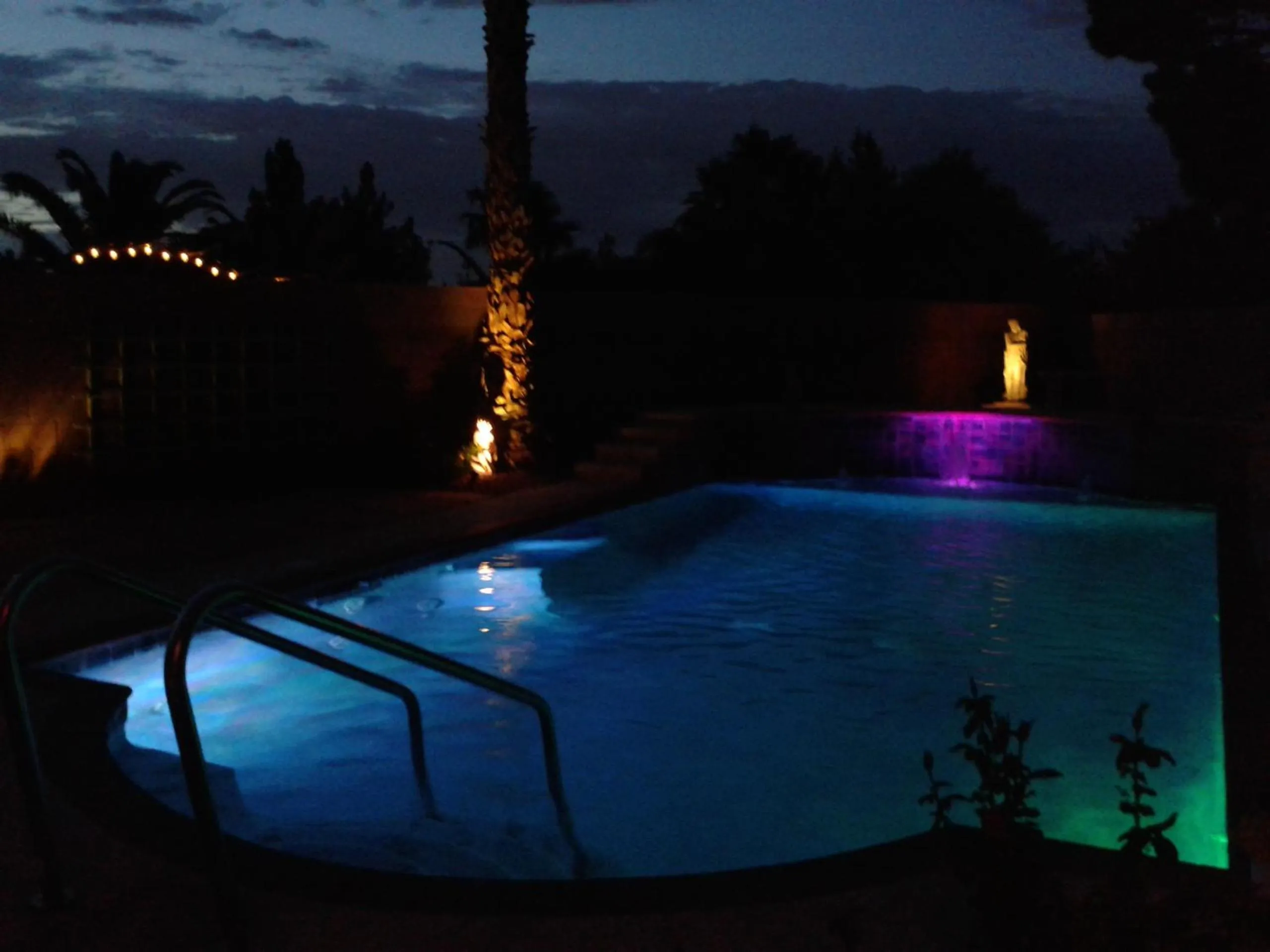 Swimming pool in CATmosphere