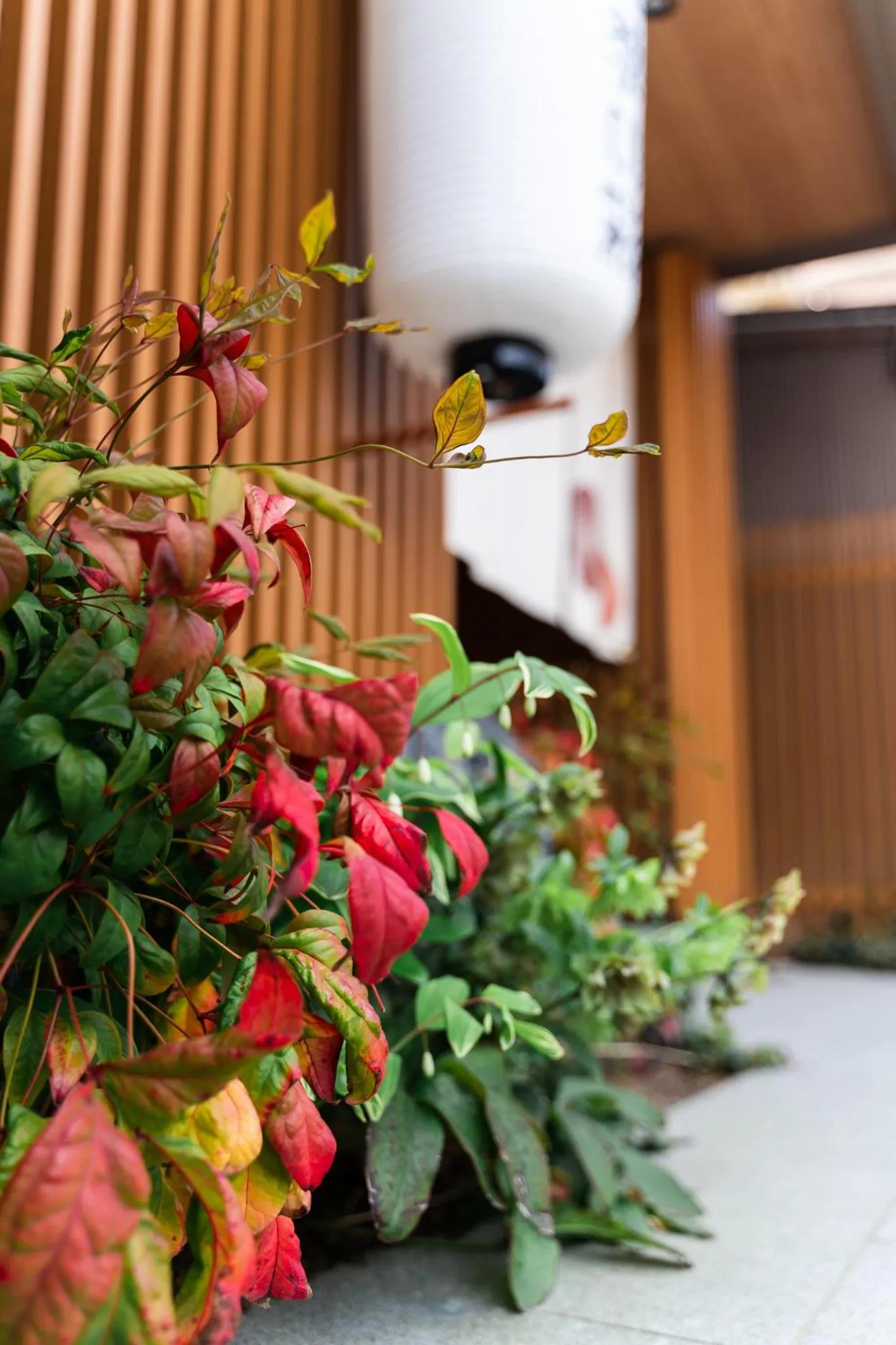 Property building in プライベートホテル 四季の彩