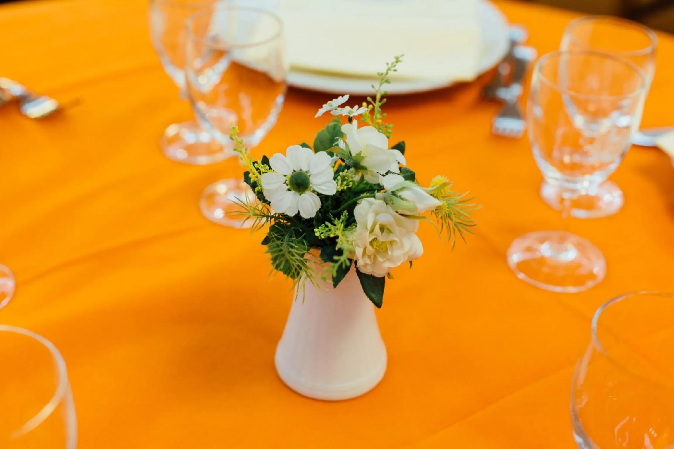 Food and drinks in Hotel Cala Di Forno