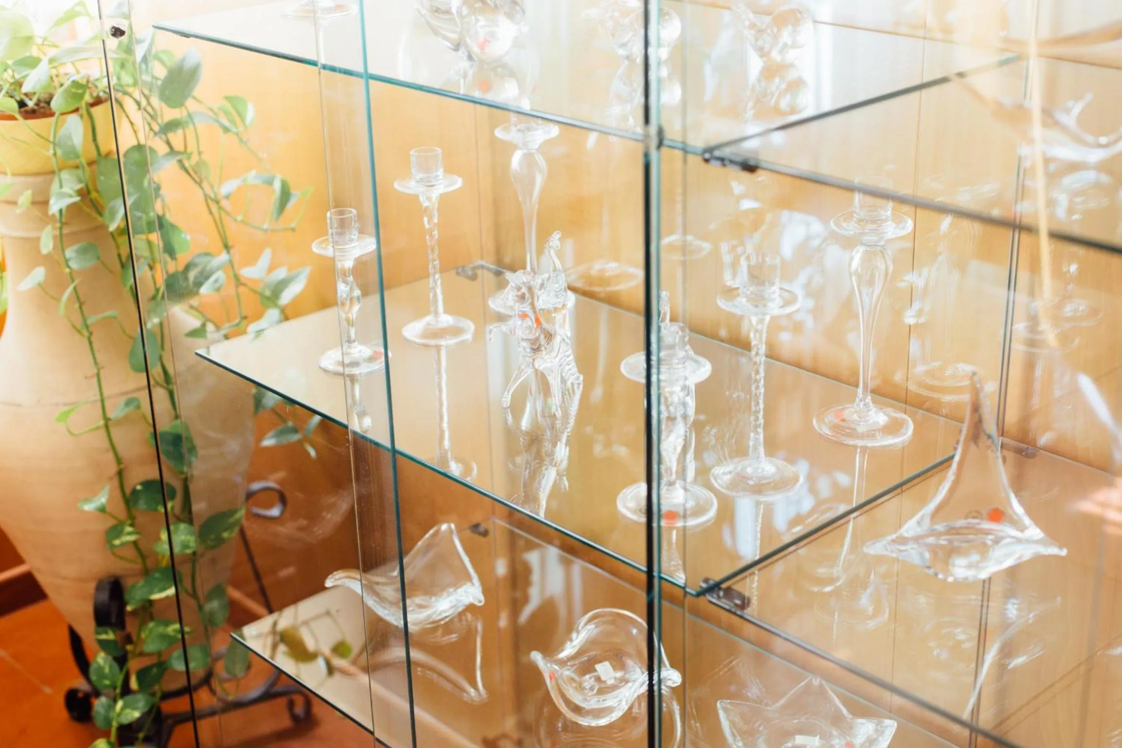 Lobby or reception in Hotel Cala Di Forno