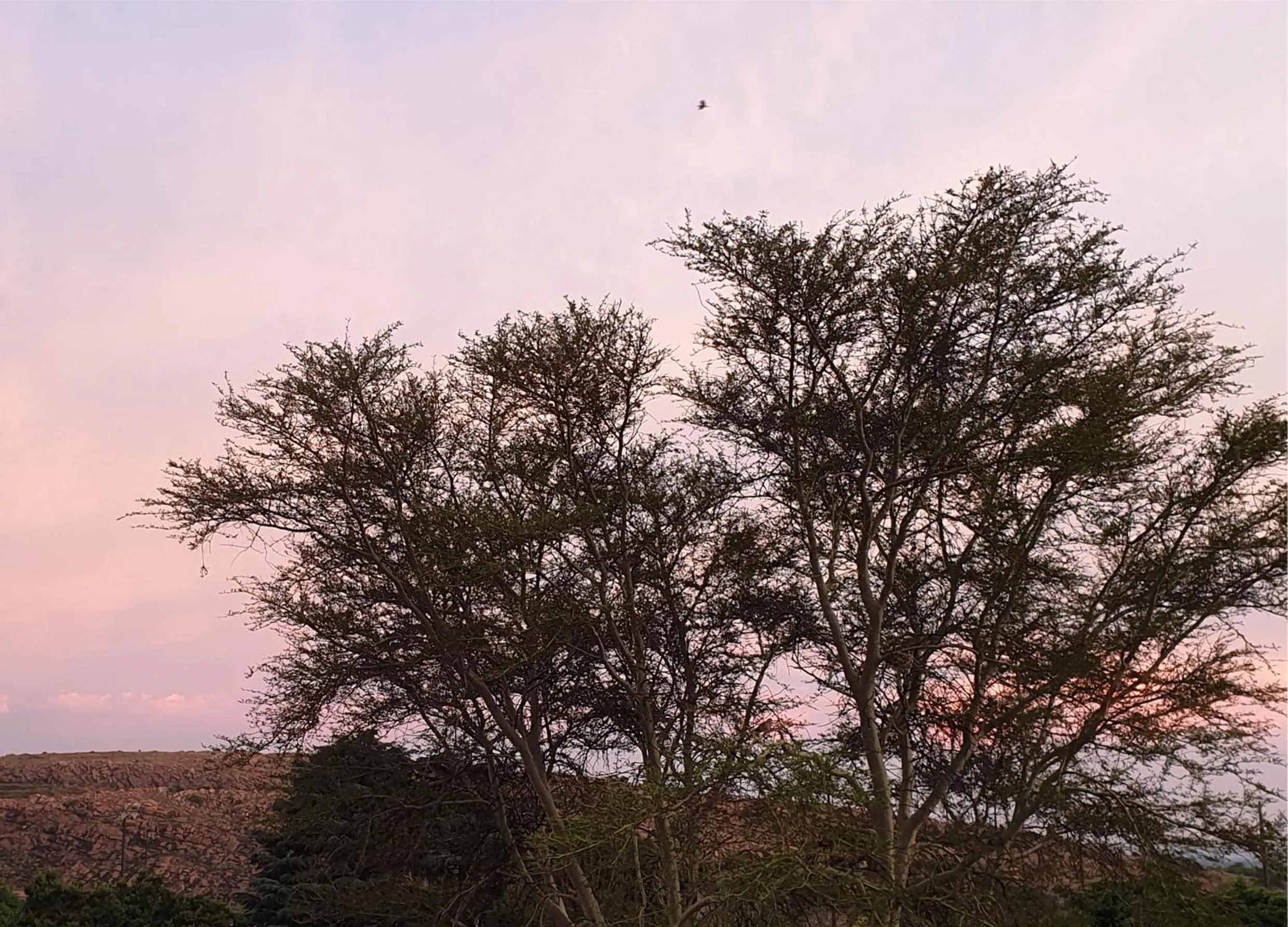 Mountain view in Hadeda Hall