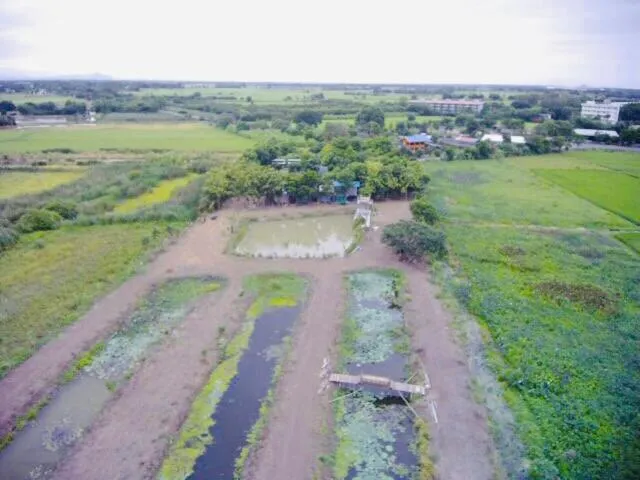 Property building in Parida Resort