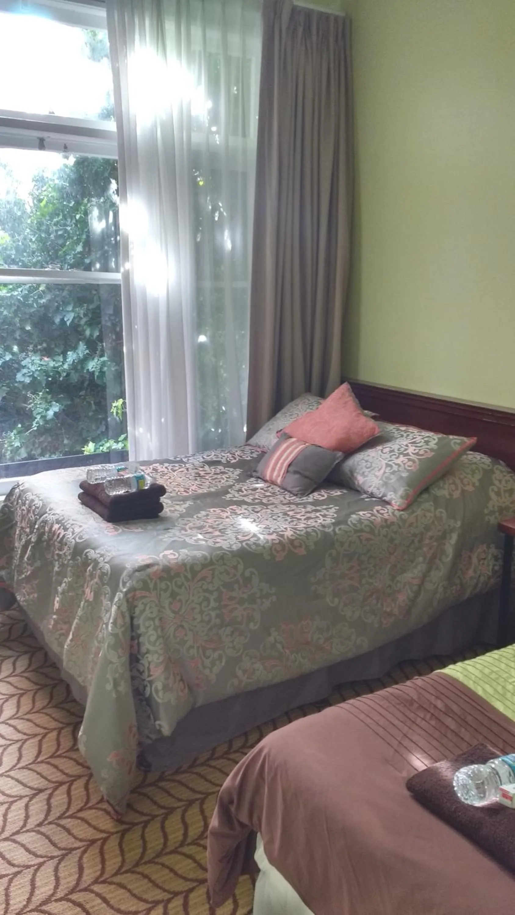 Day, Bed in Adelaide Hostel