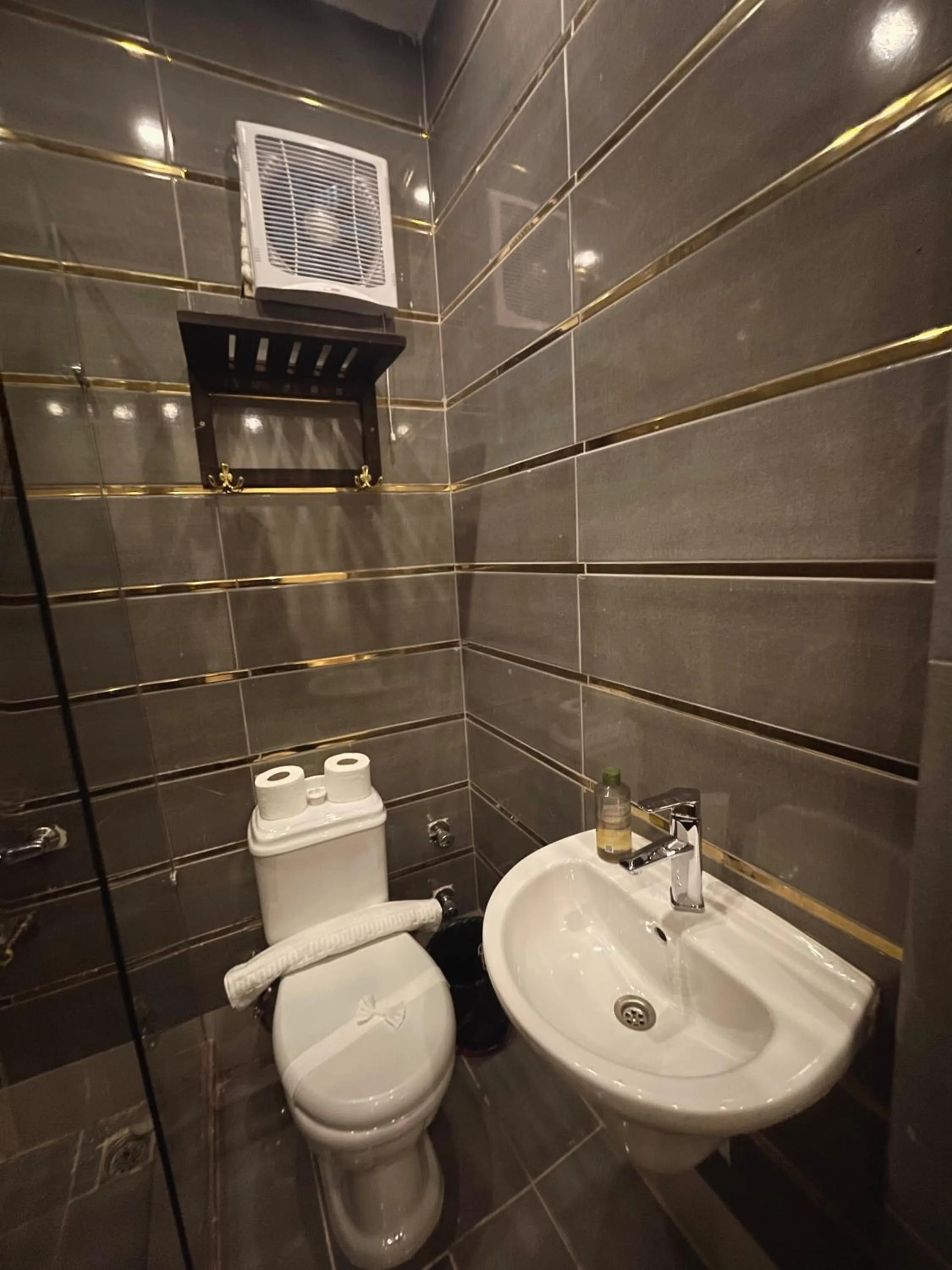 Toilet in Sahara Pyramids Inn