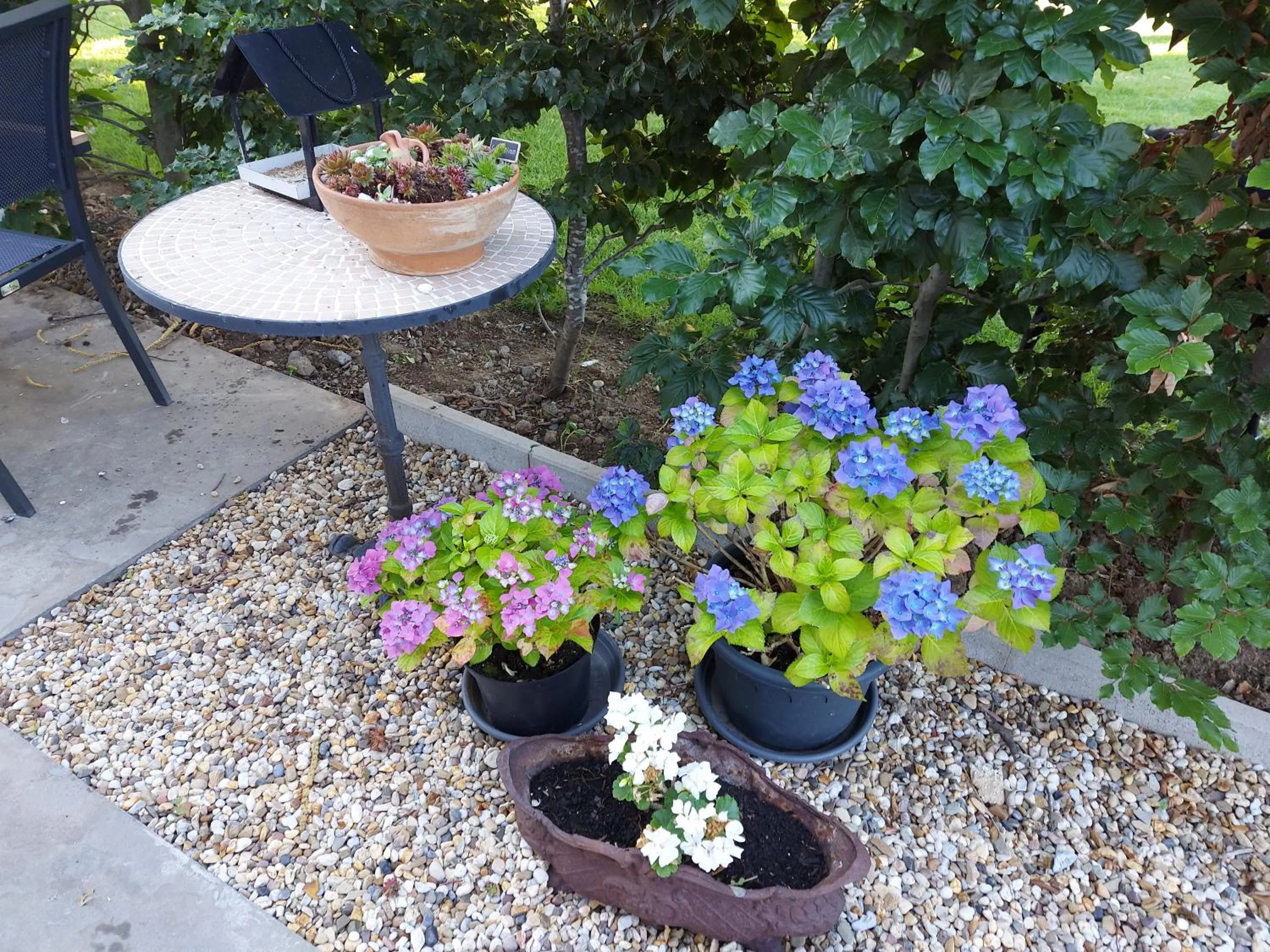 Garden in B&B La Vita Verde