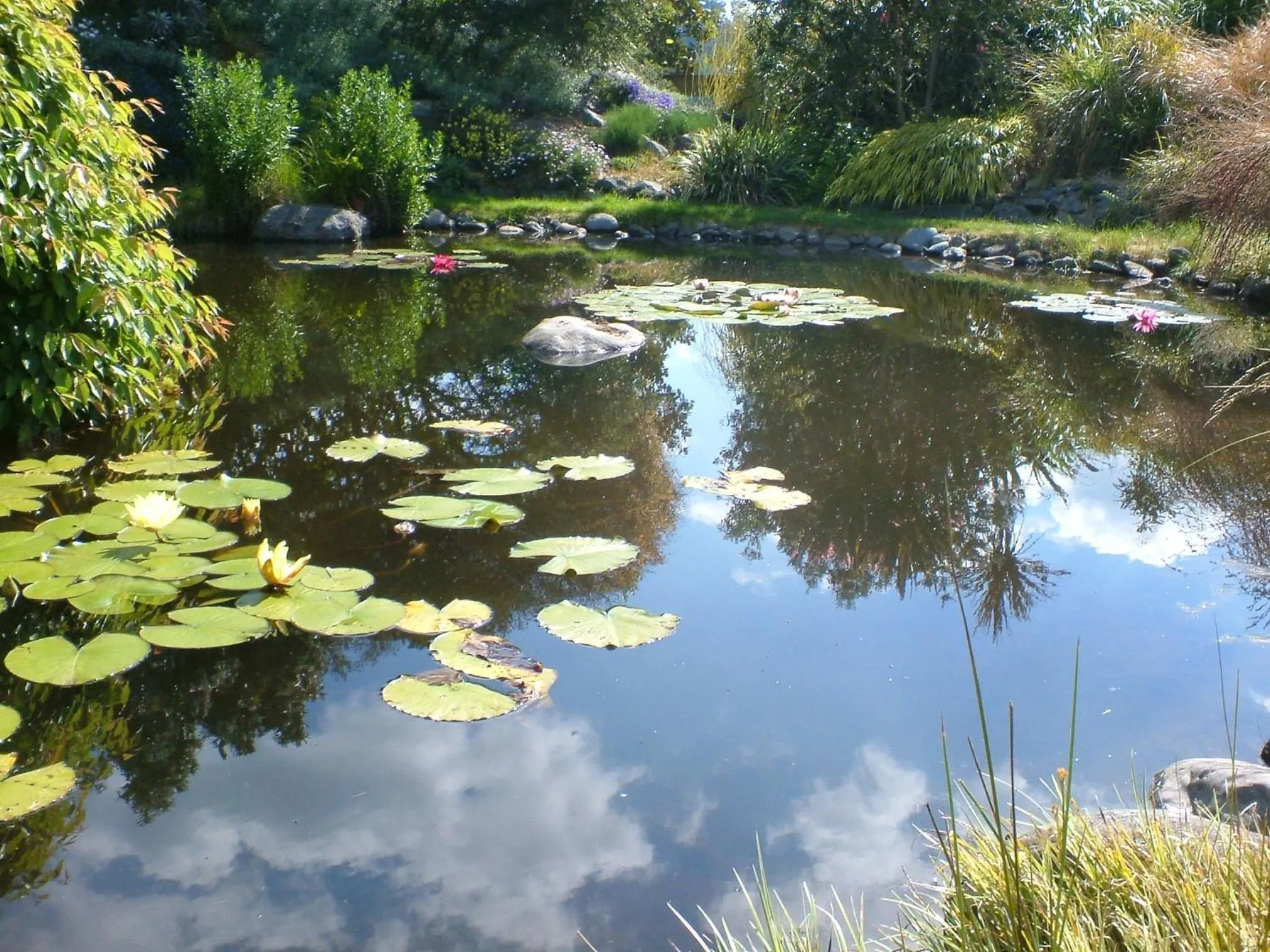 Summer in English Cherry Tree Manor