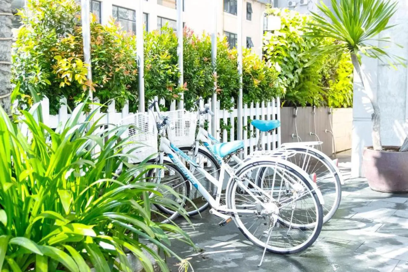 Cycling in Sea Swan Apartment and Hotel