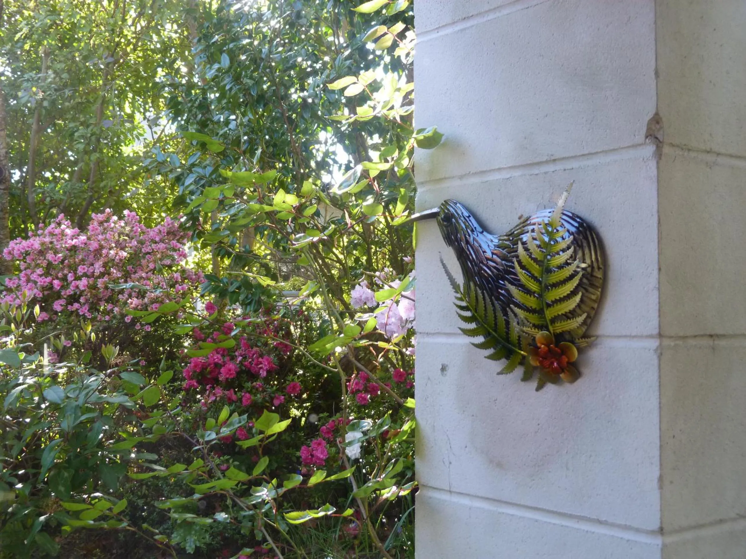 Garden in Fred&Donz Bed and Breakfast