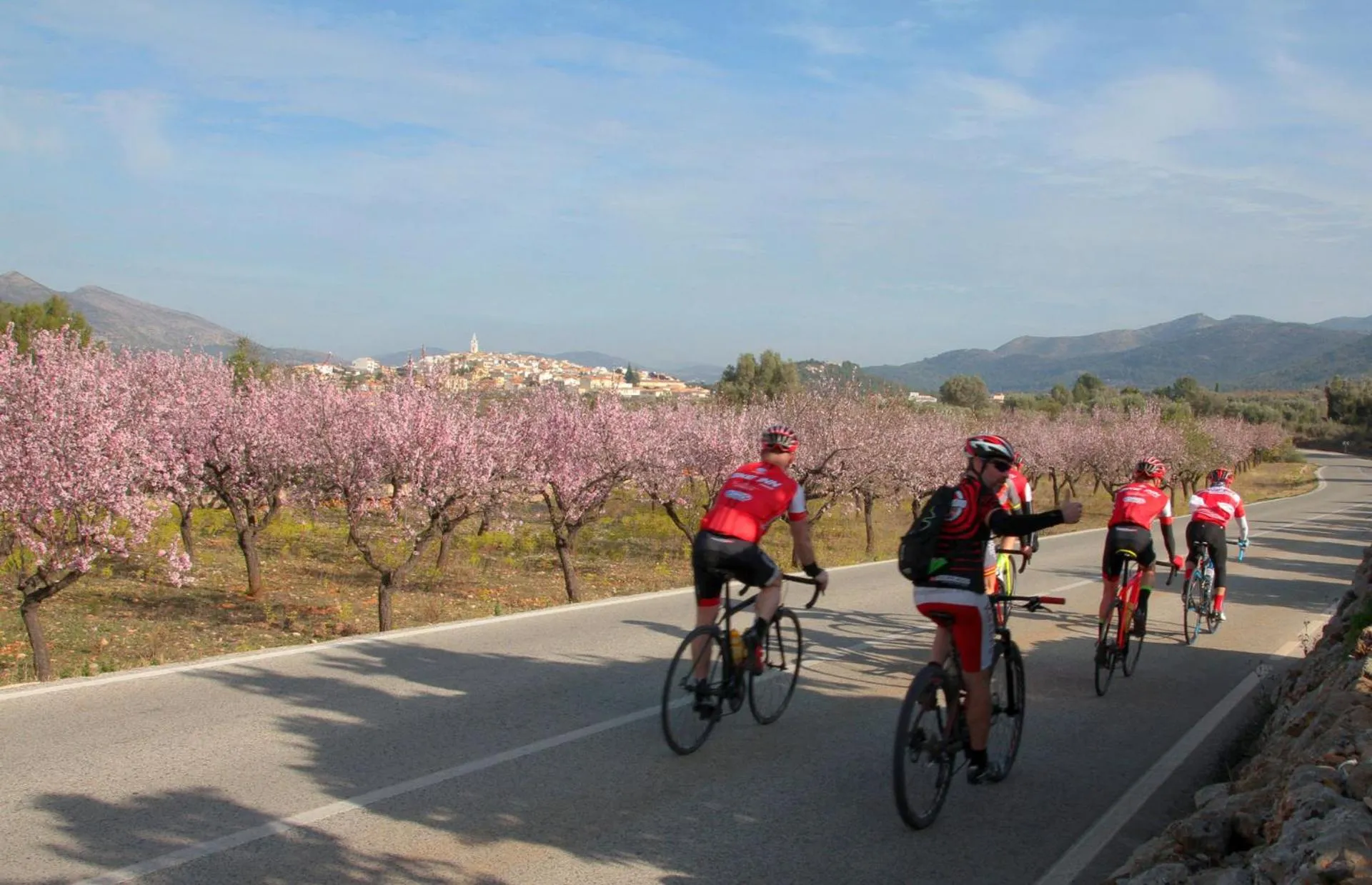 Cycling in Villa Foia Vella - adults only
