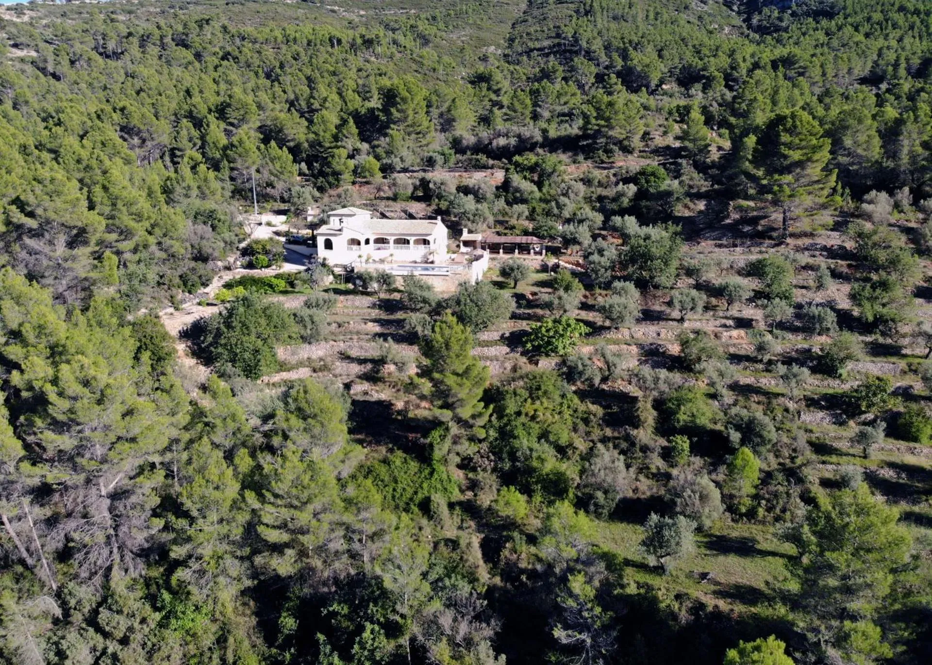 Natural landscape in Villa Foia Vella - adults only