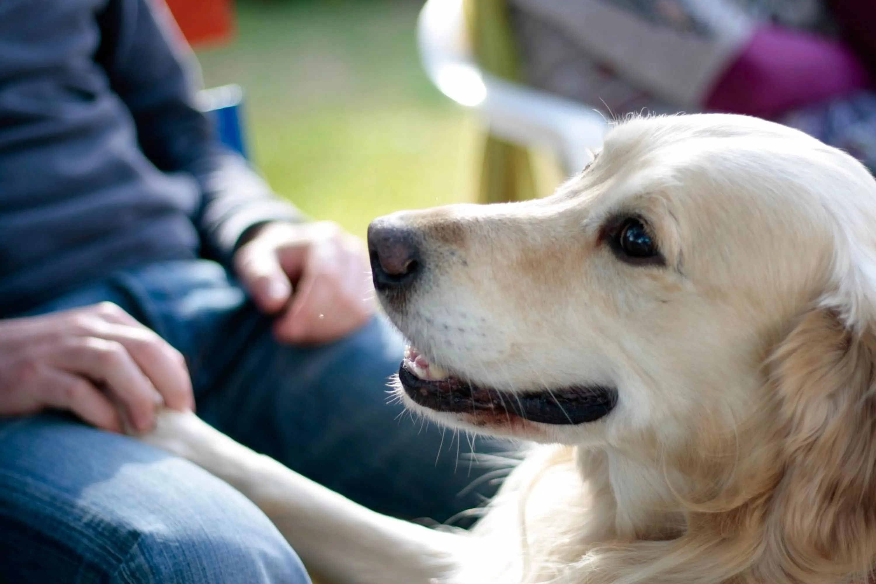 Garden in Giardino Dei Suoni B&B