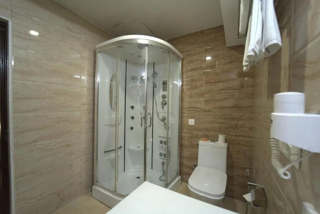 Shower in Hotel JSR Continental