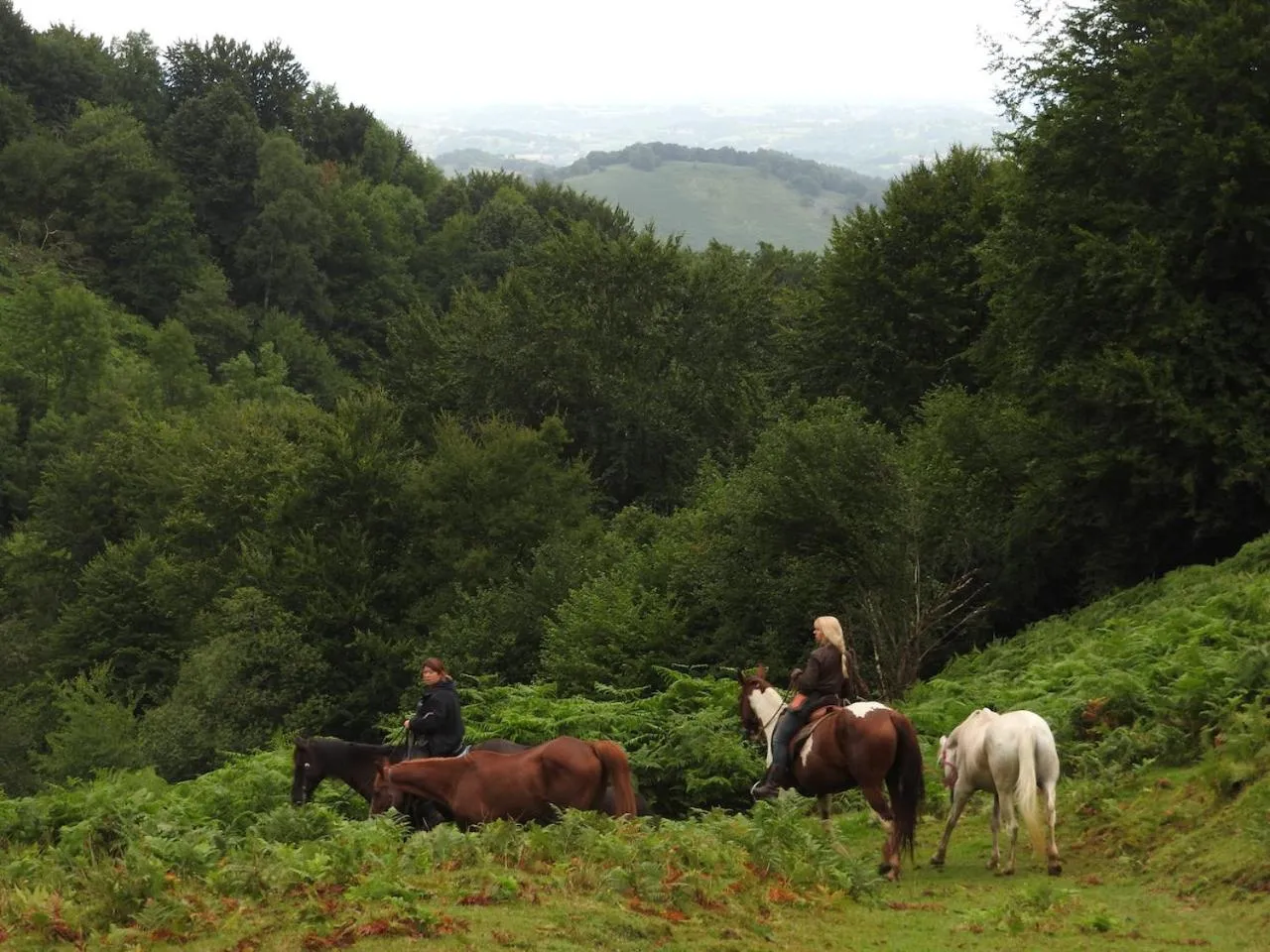 Natural landscape in Petit Château