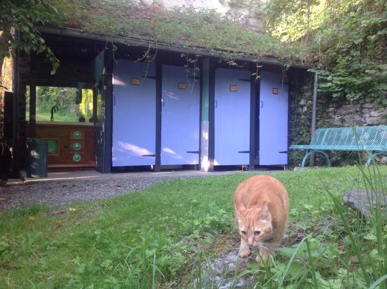 Shower in Petit Château