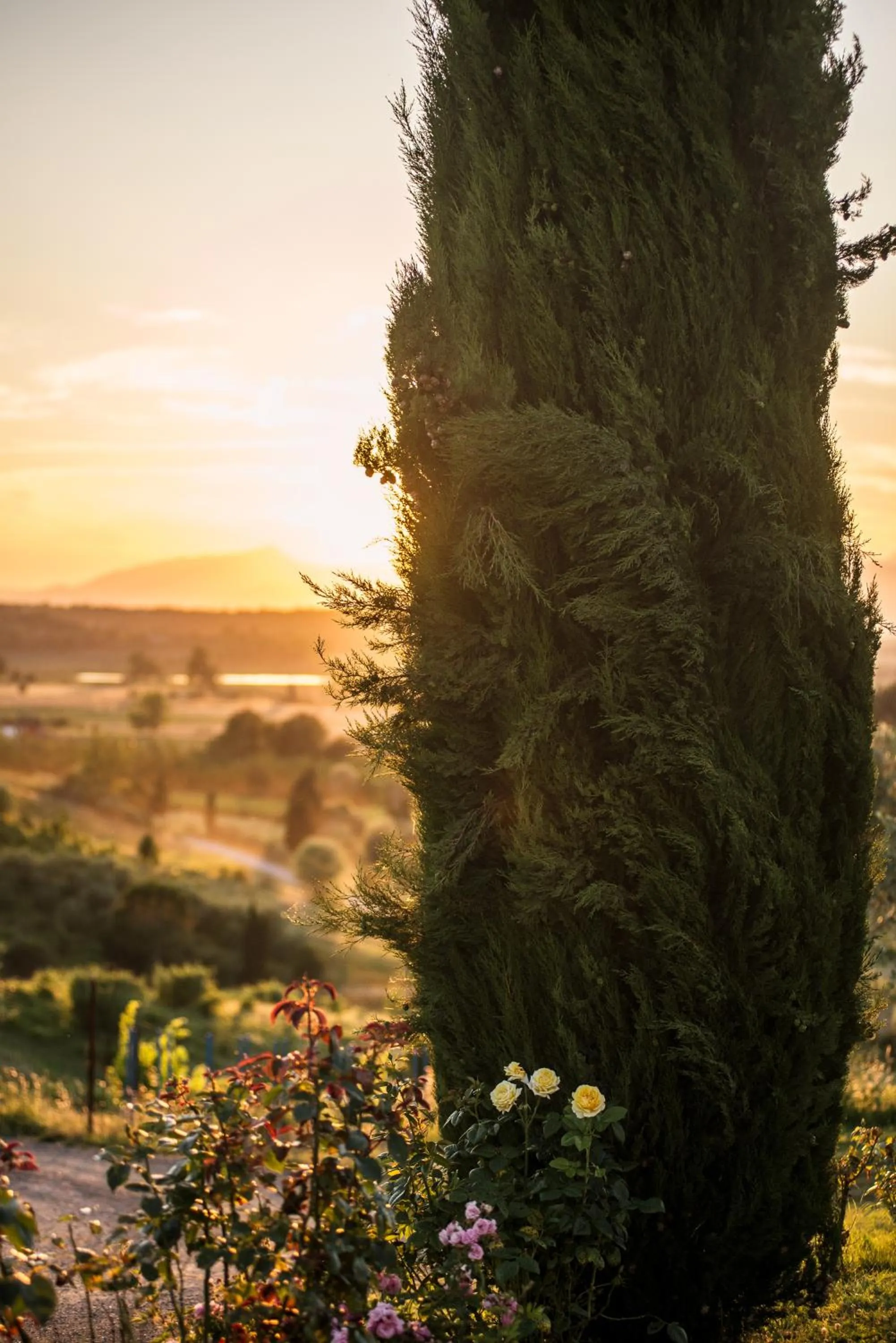 Property building in Agriturismo Musignano
