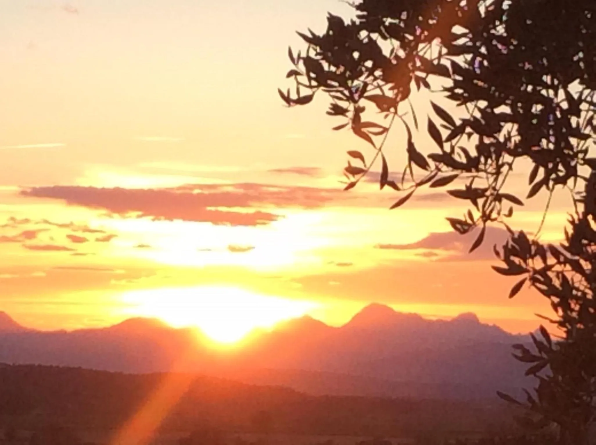 Property building in Agriturismo Musignano