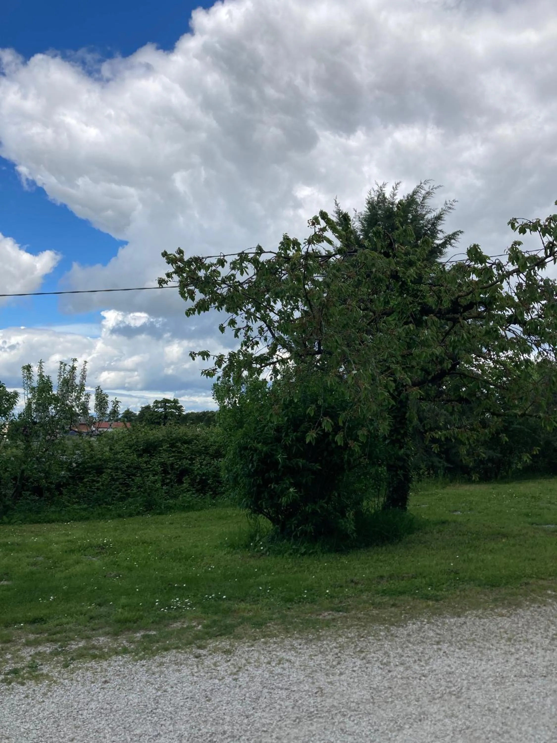 Natural landscape in B&B Mama Rò